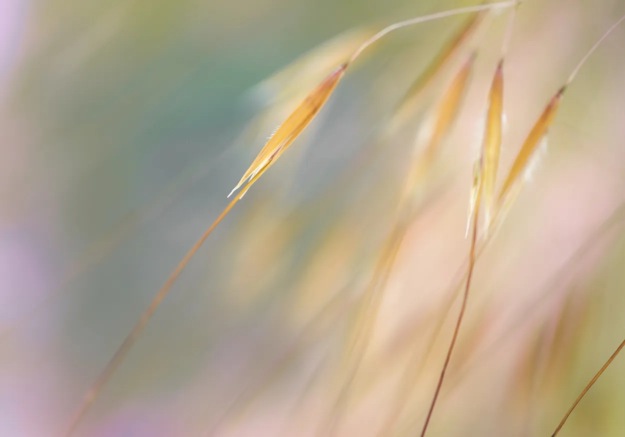 Entry 7665415