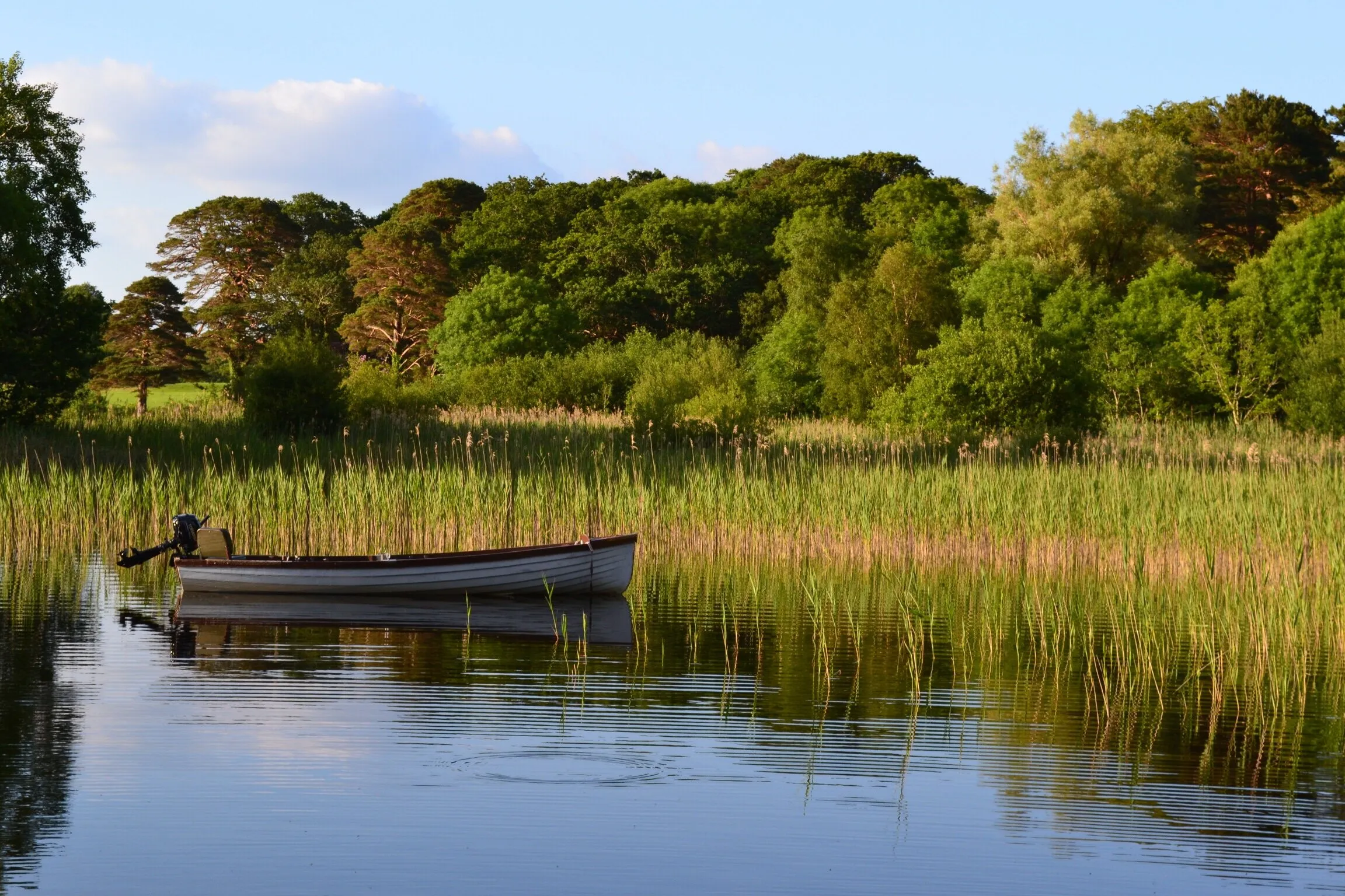 Killarney National Park, Ireland