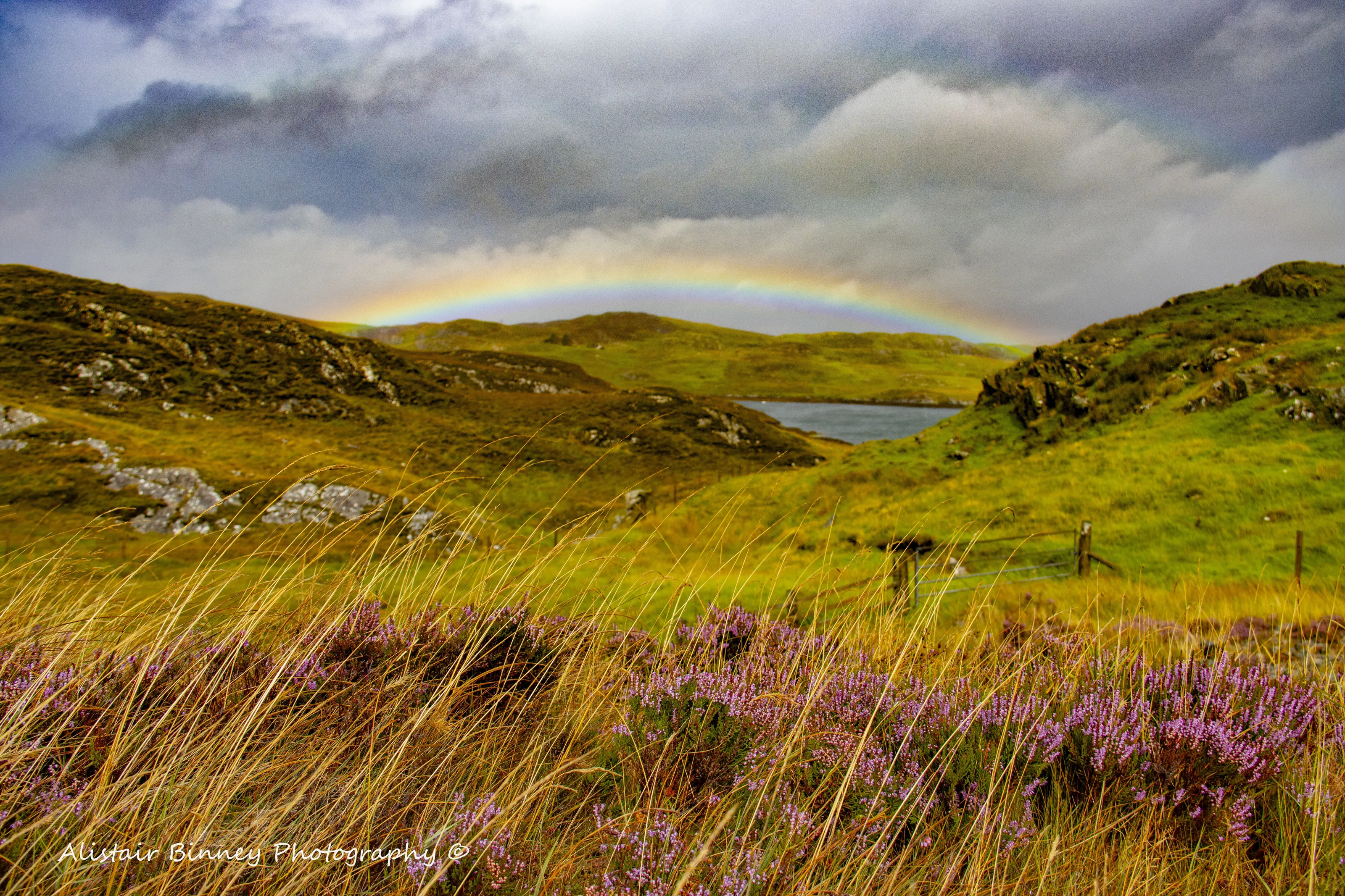 Heather and Rainbow