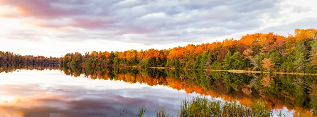 Autumn lake