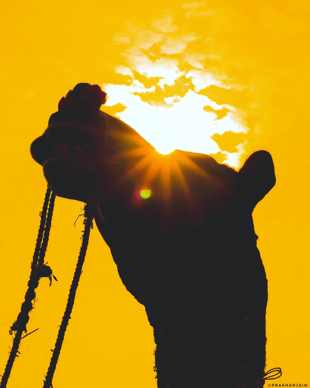 Entry 7694324