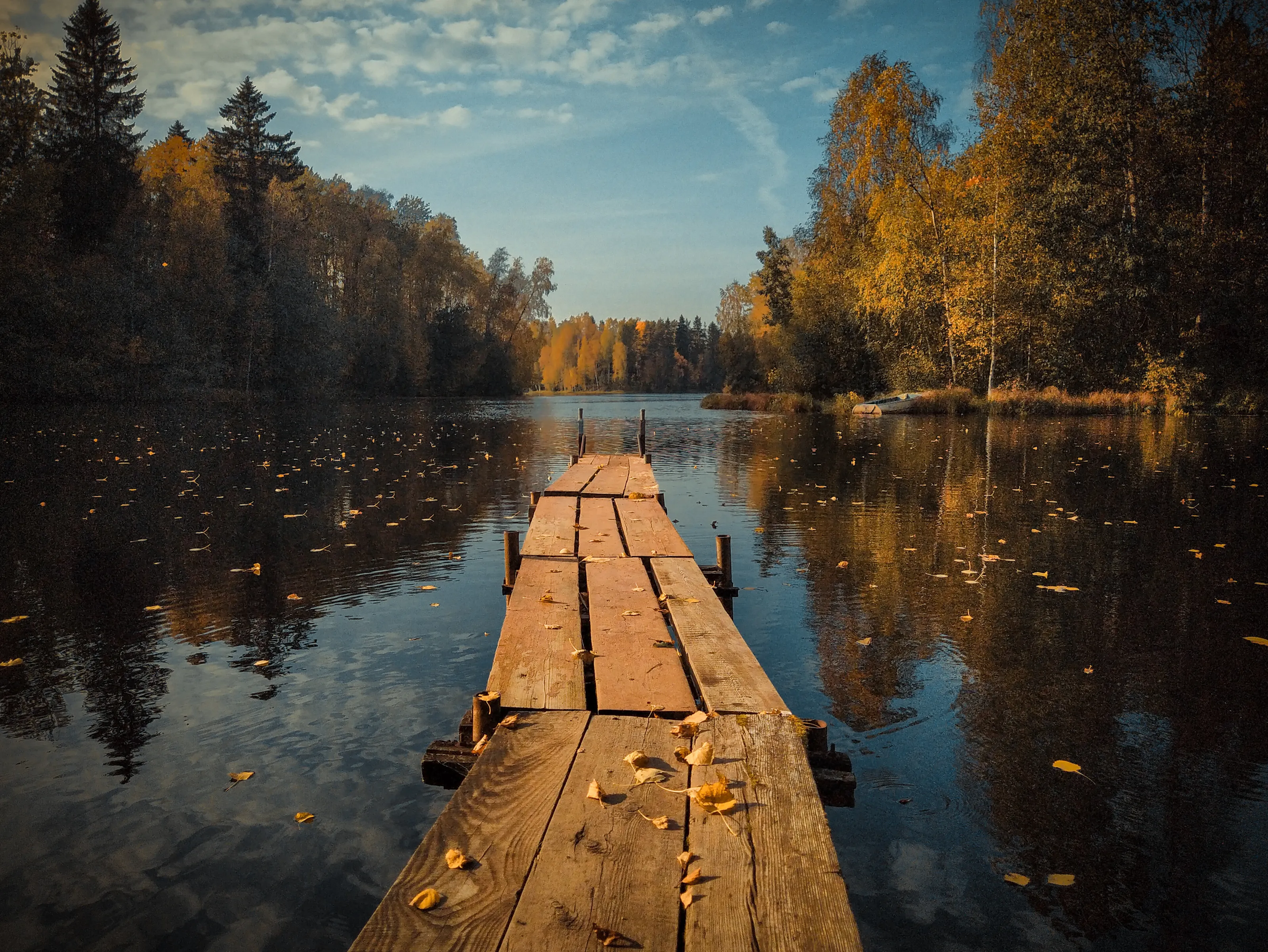 Autumn colors