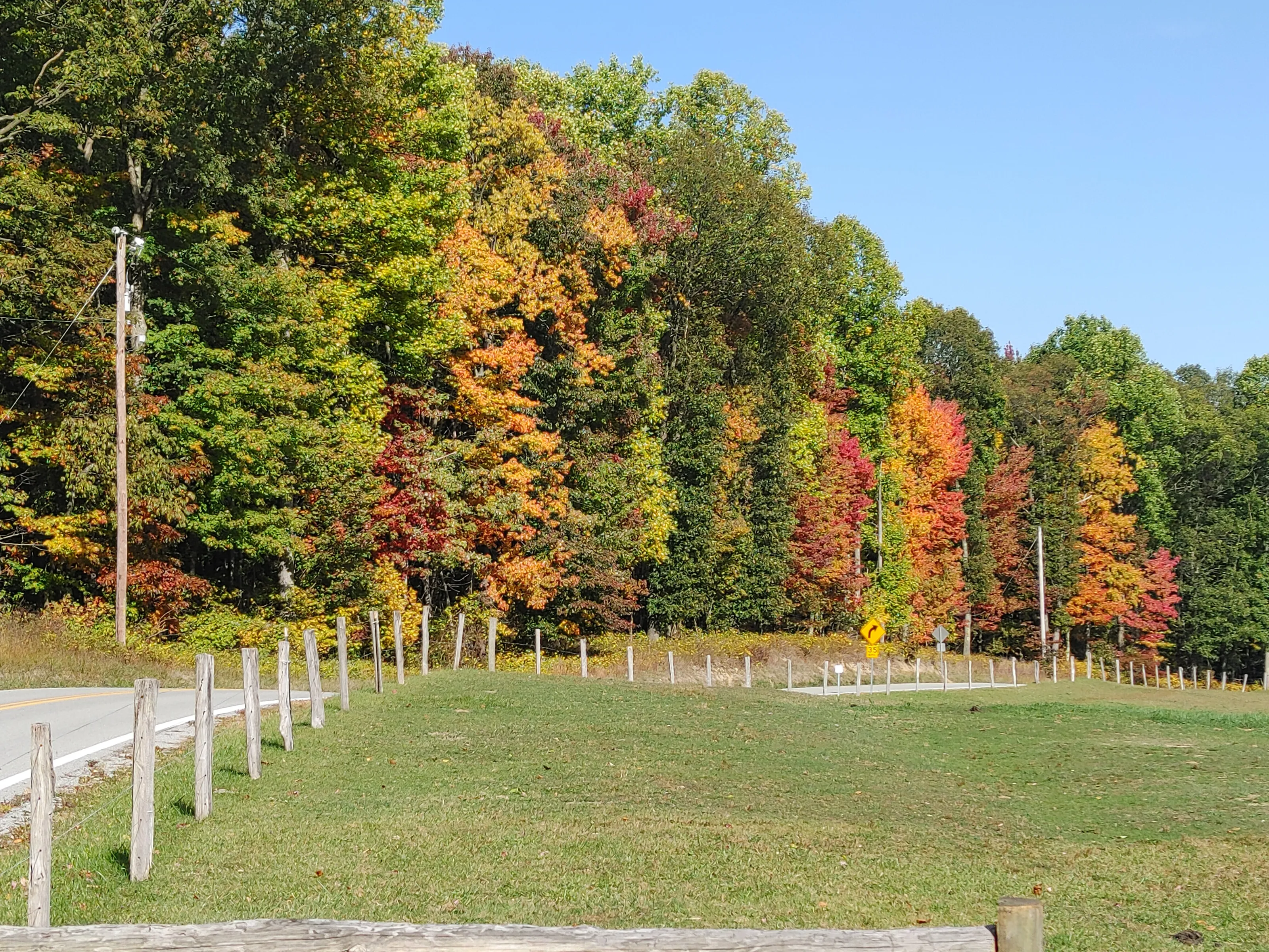 Fall