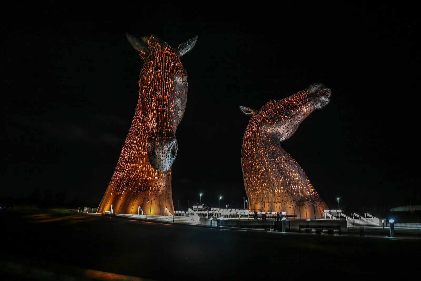 Golden Kelpies