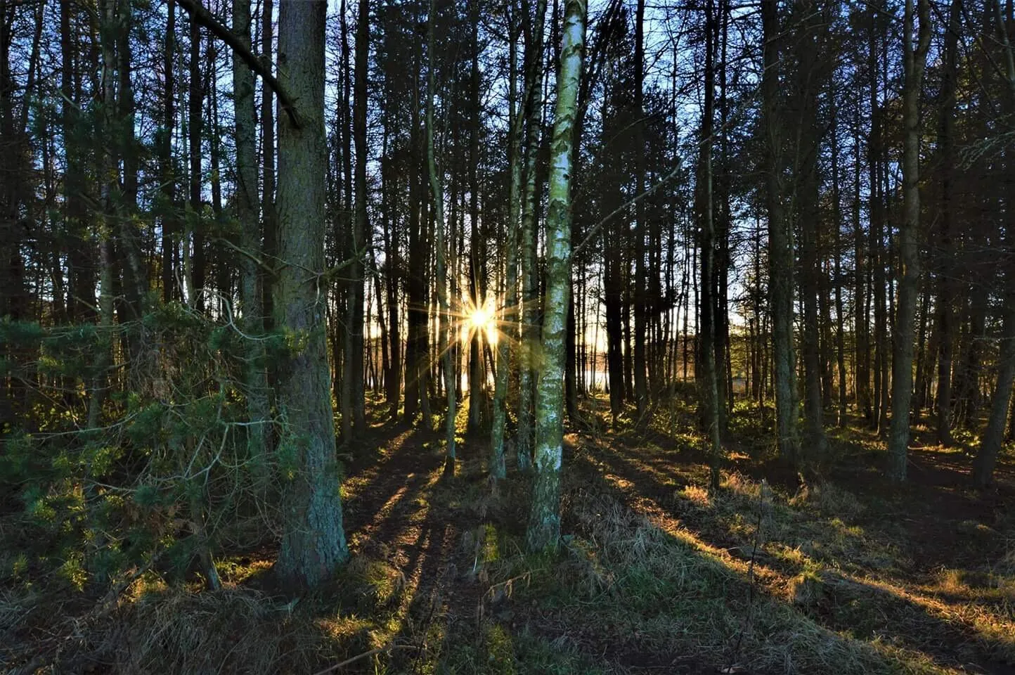 Pentlands