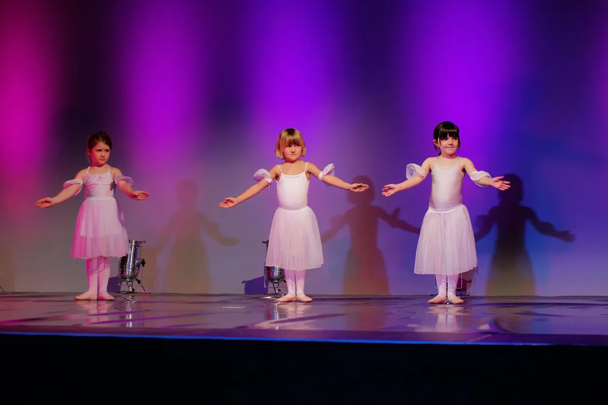 Entry 8739131
