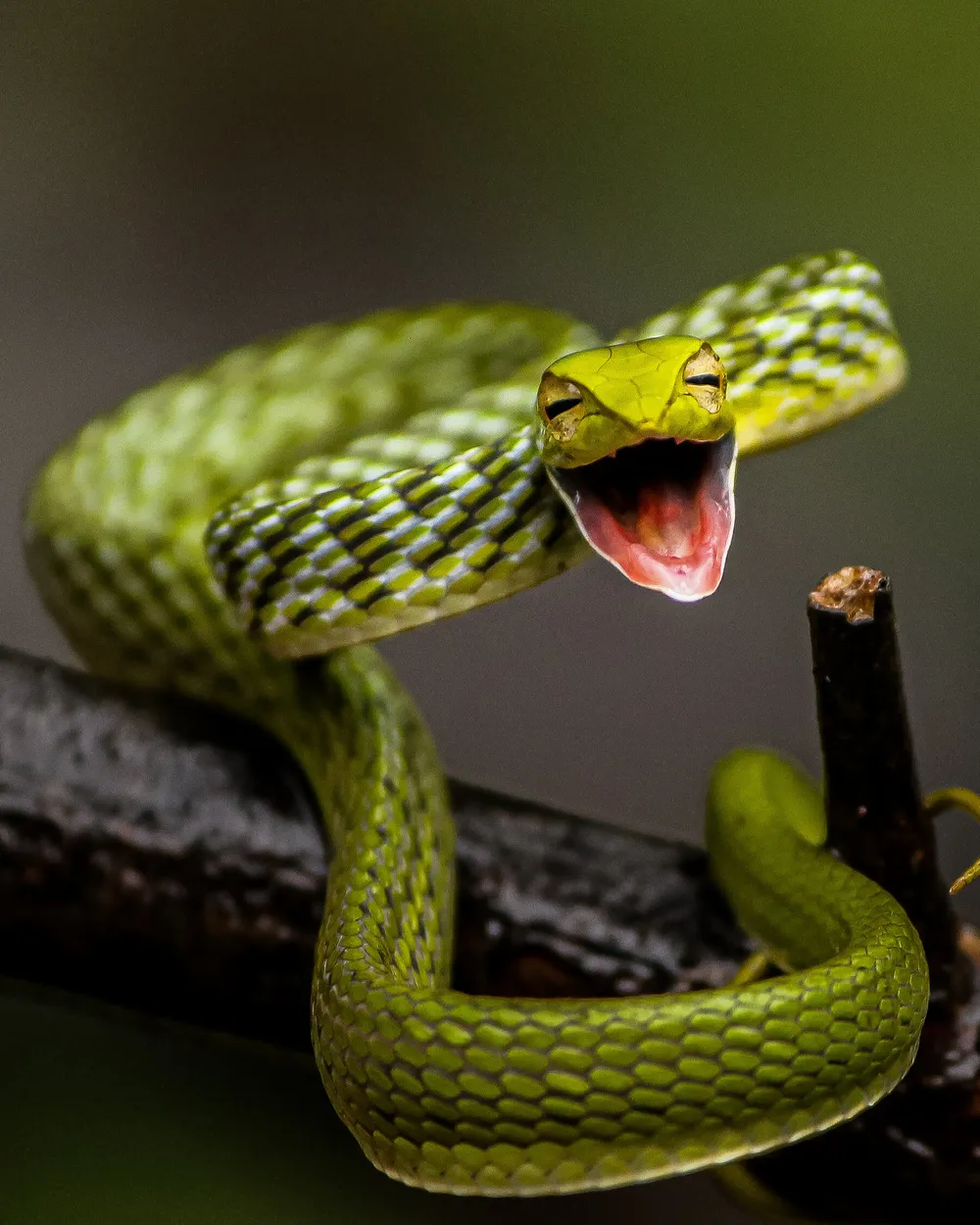 Entry 7721607