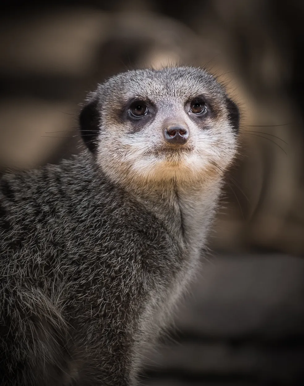 Entry 7974970