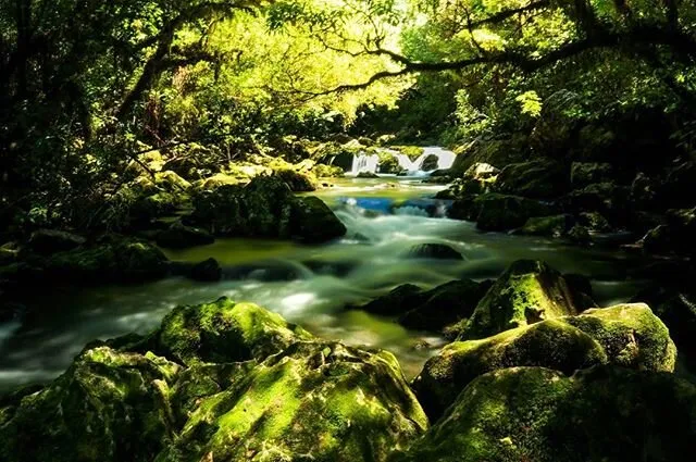 Heights of water