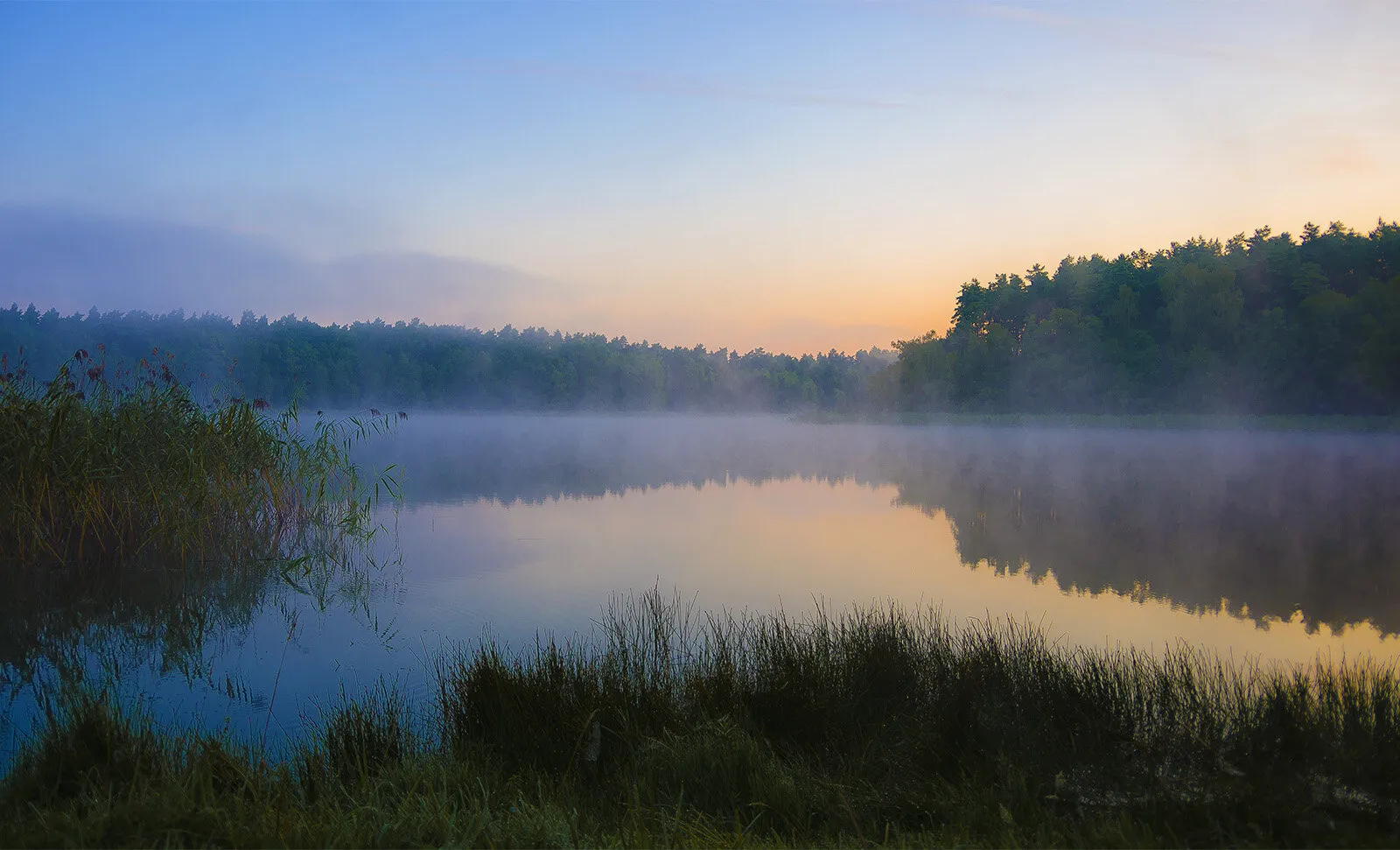 Misty morning by the lake