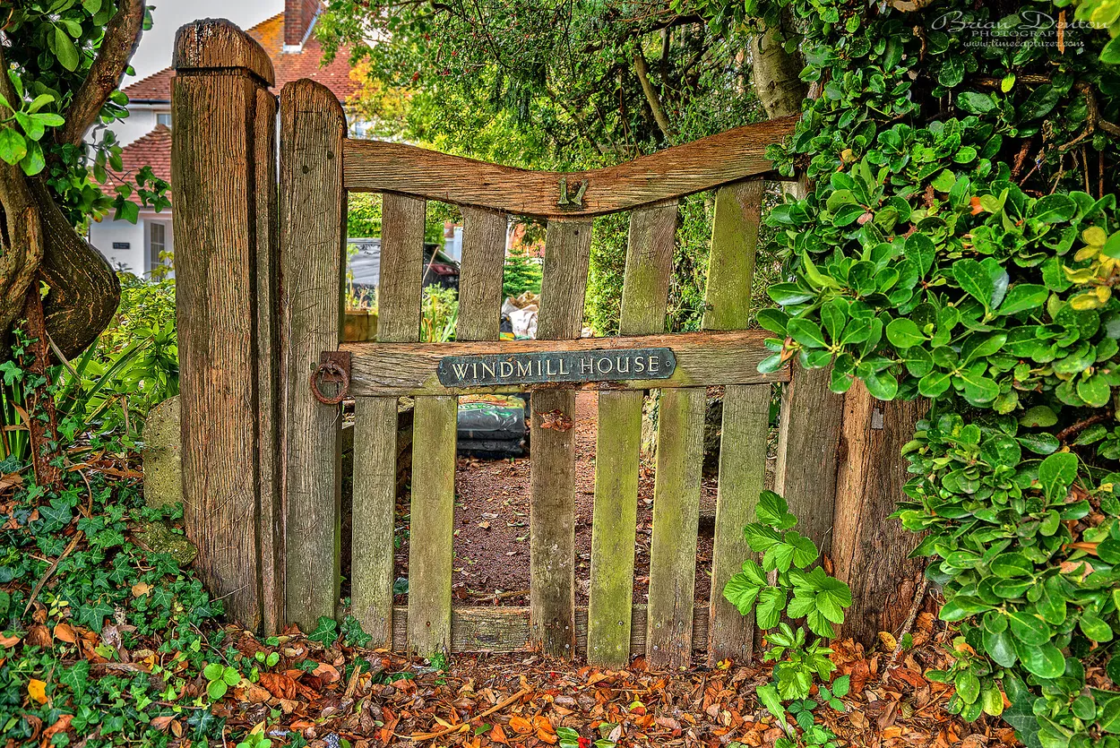 Entry 10572683