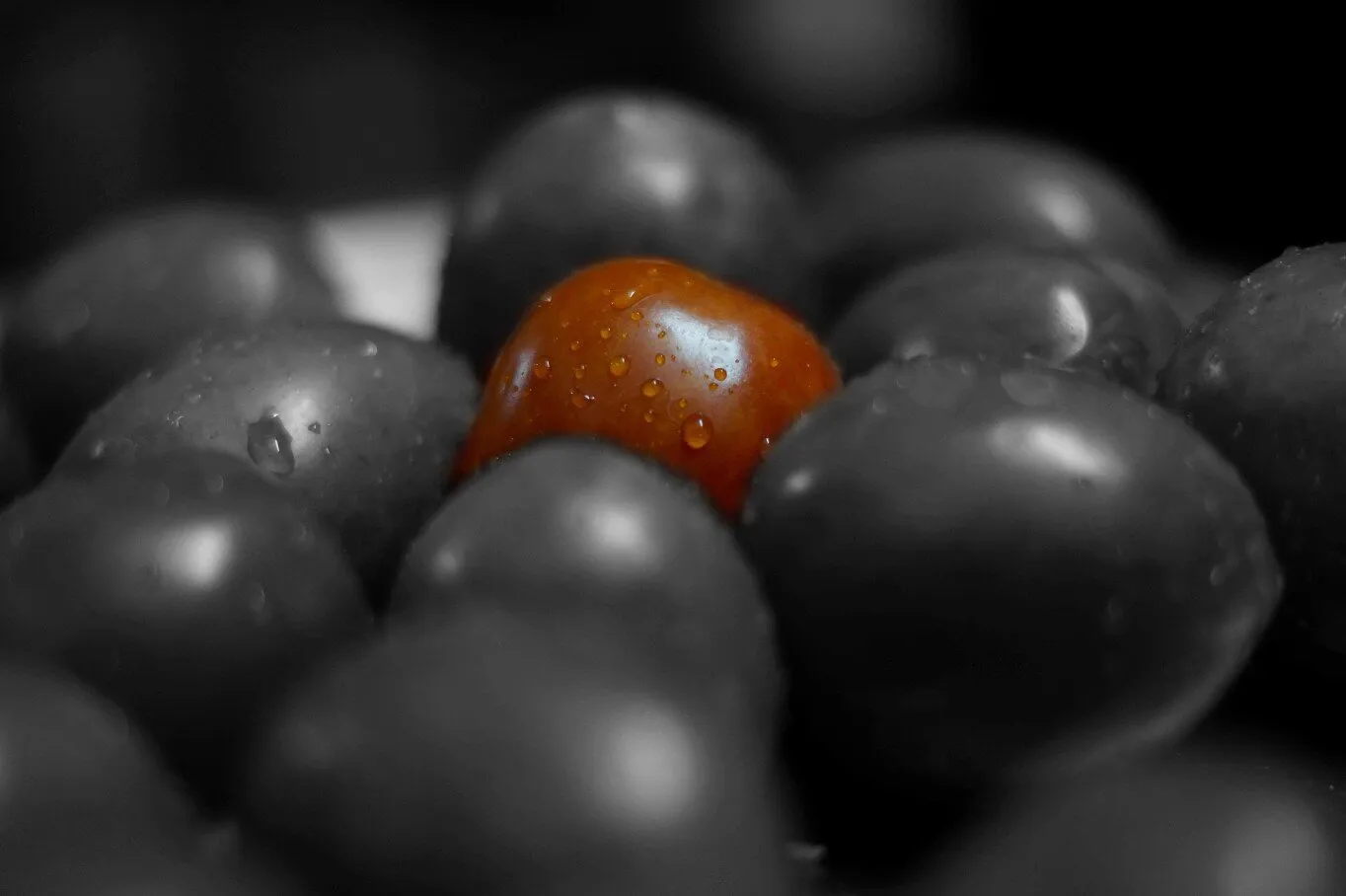 A unique Tomato