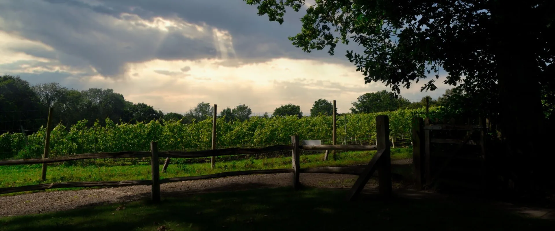 Hidden Spring Vineyard, Horam