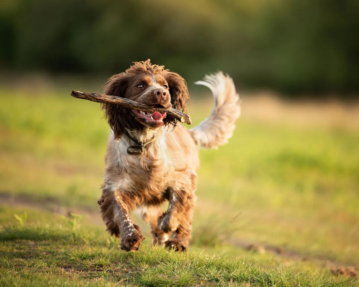 Entry 7751907