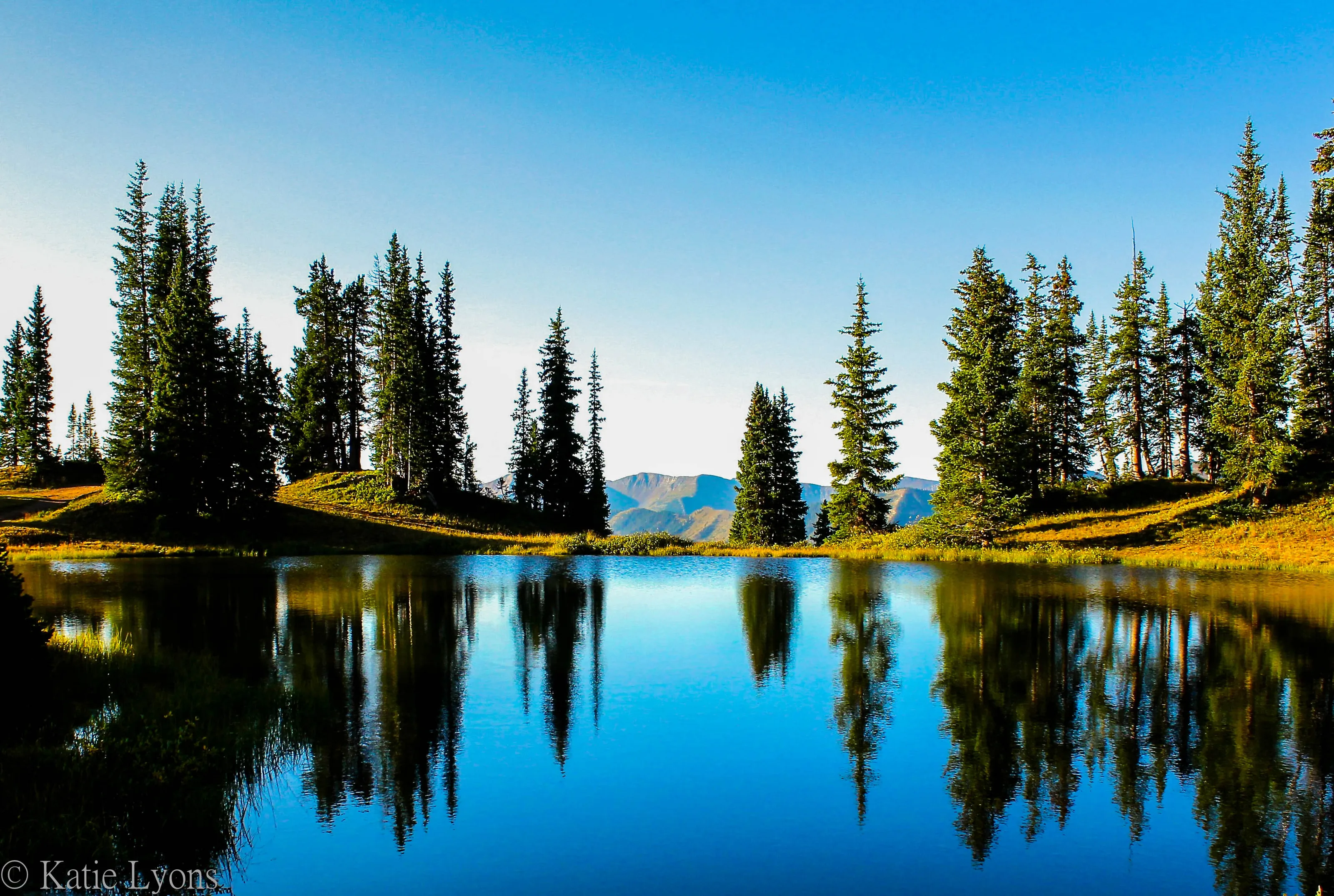 Reflection