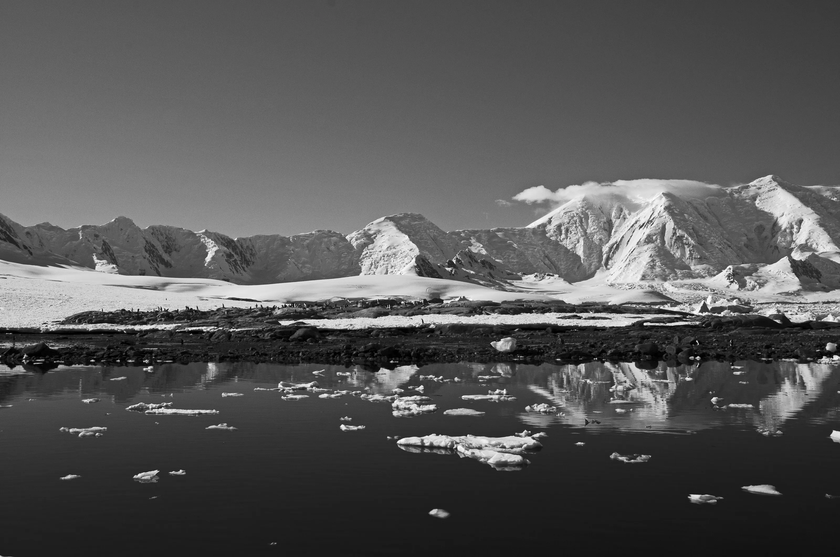 Reflections of the Antarctic Peninsular