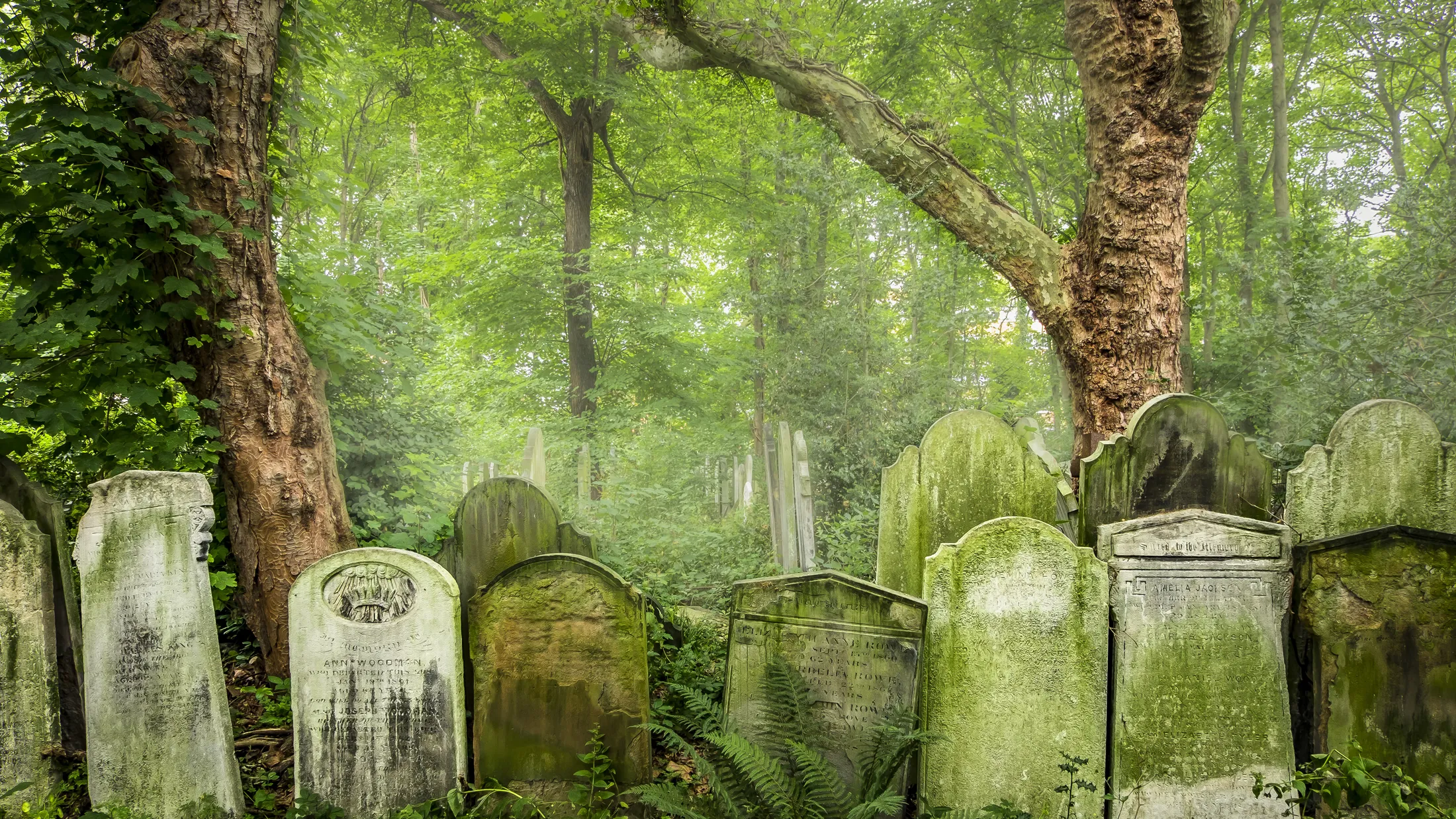 Tower Hamlets Cemetery Park