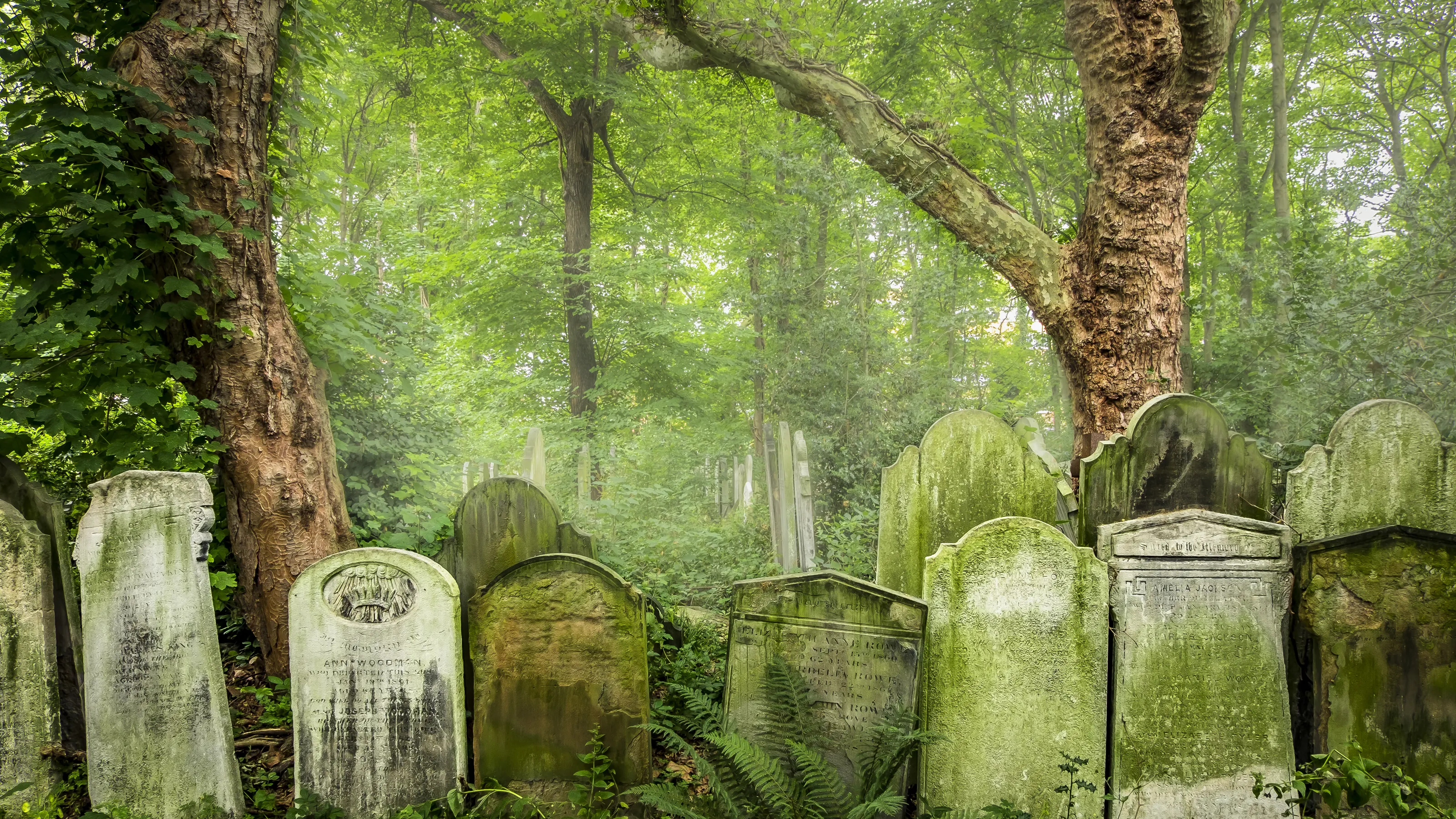 Tower Hamlets Cemetery Park