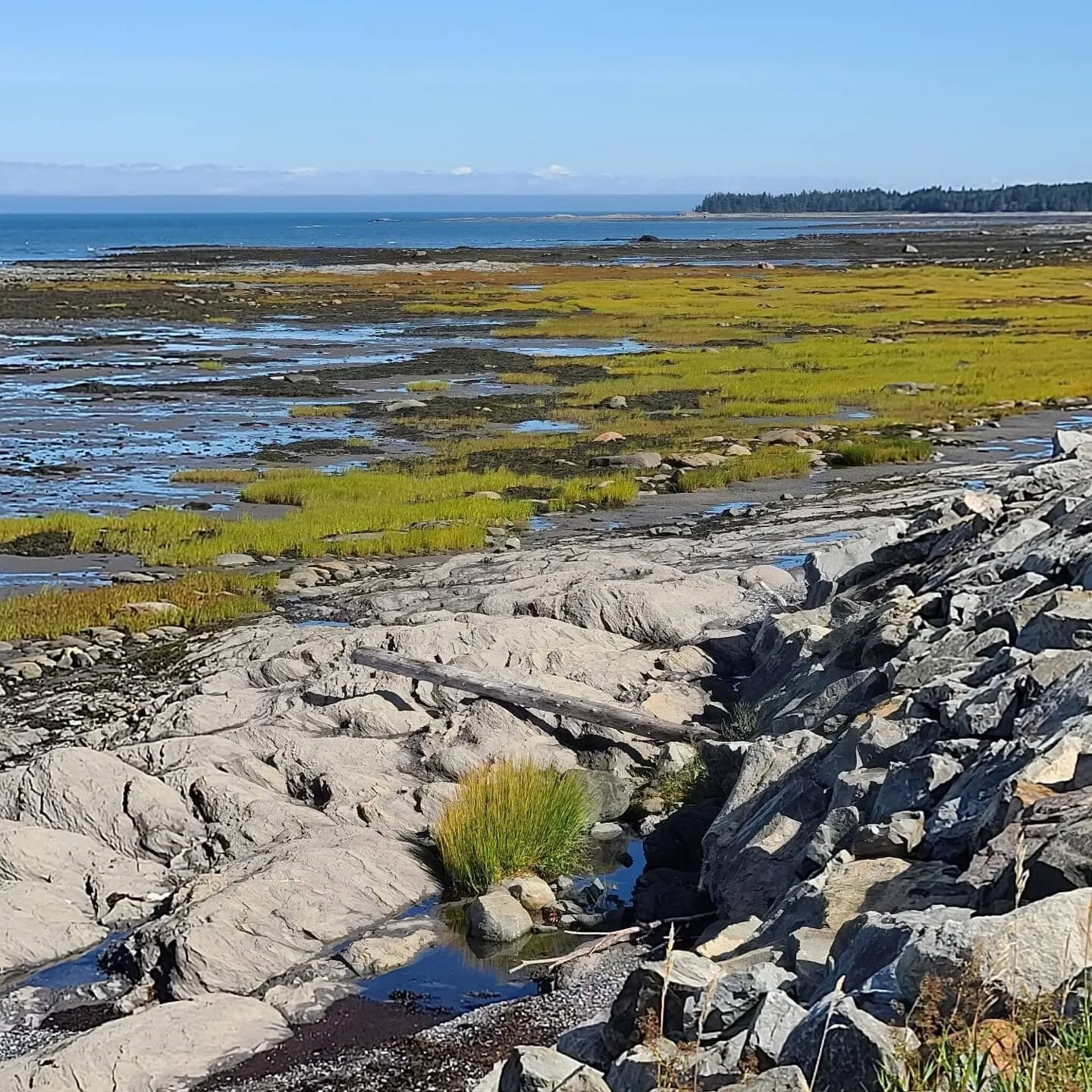 Natural coastline looking like a painting.