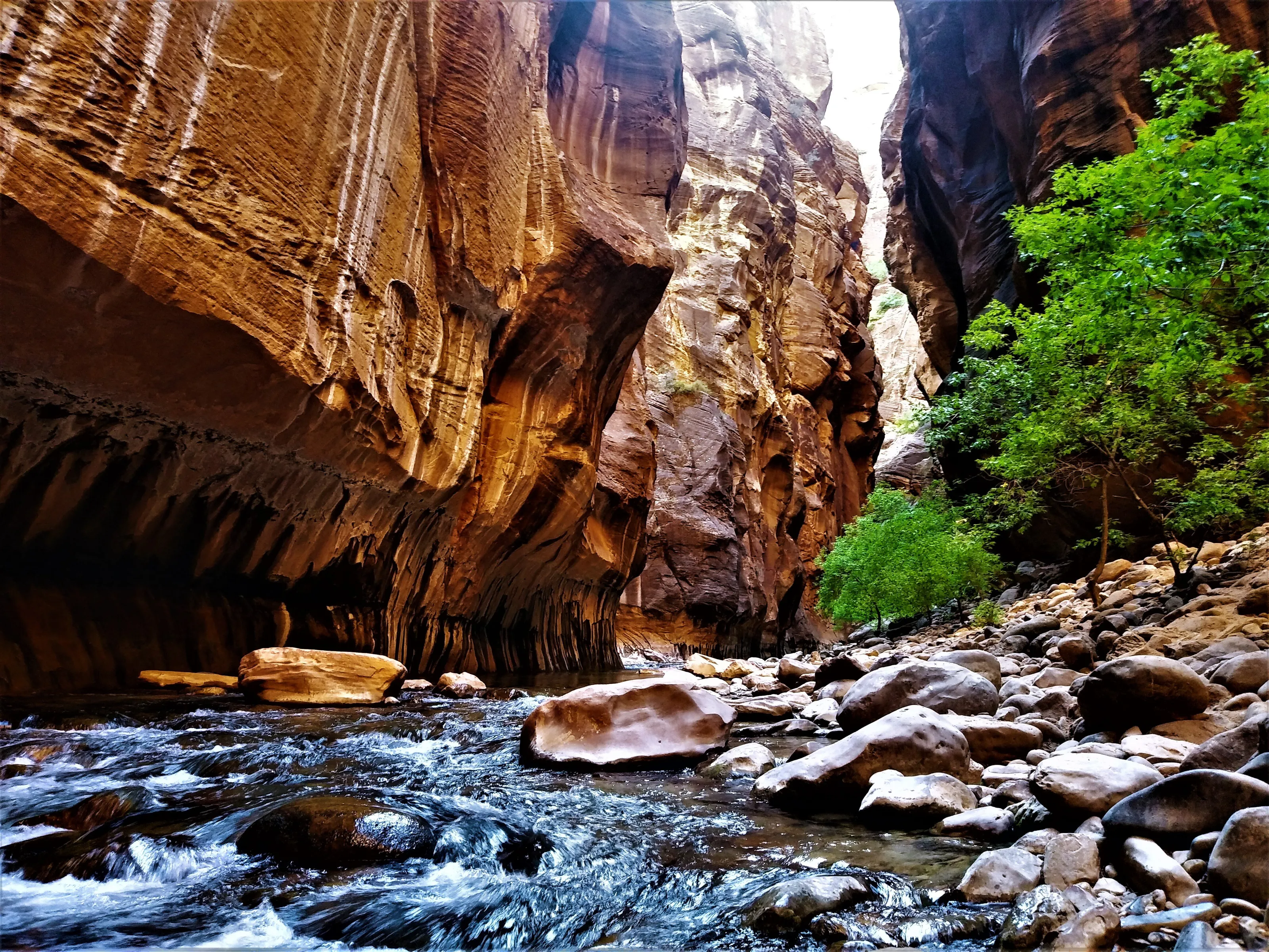 The Narrows