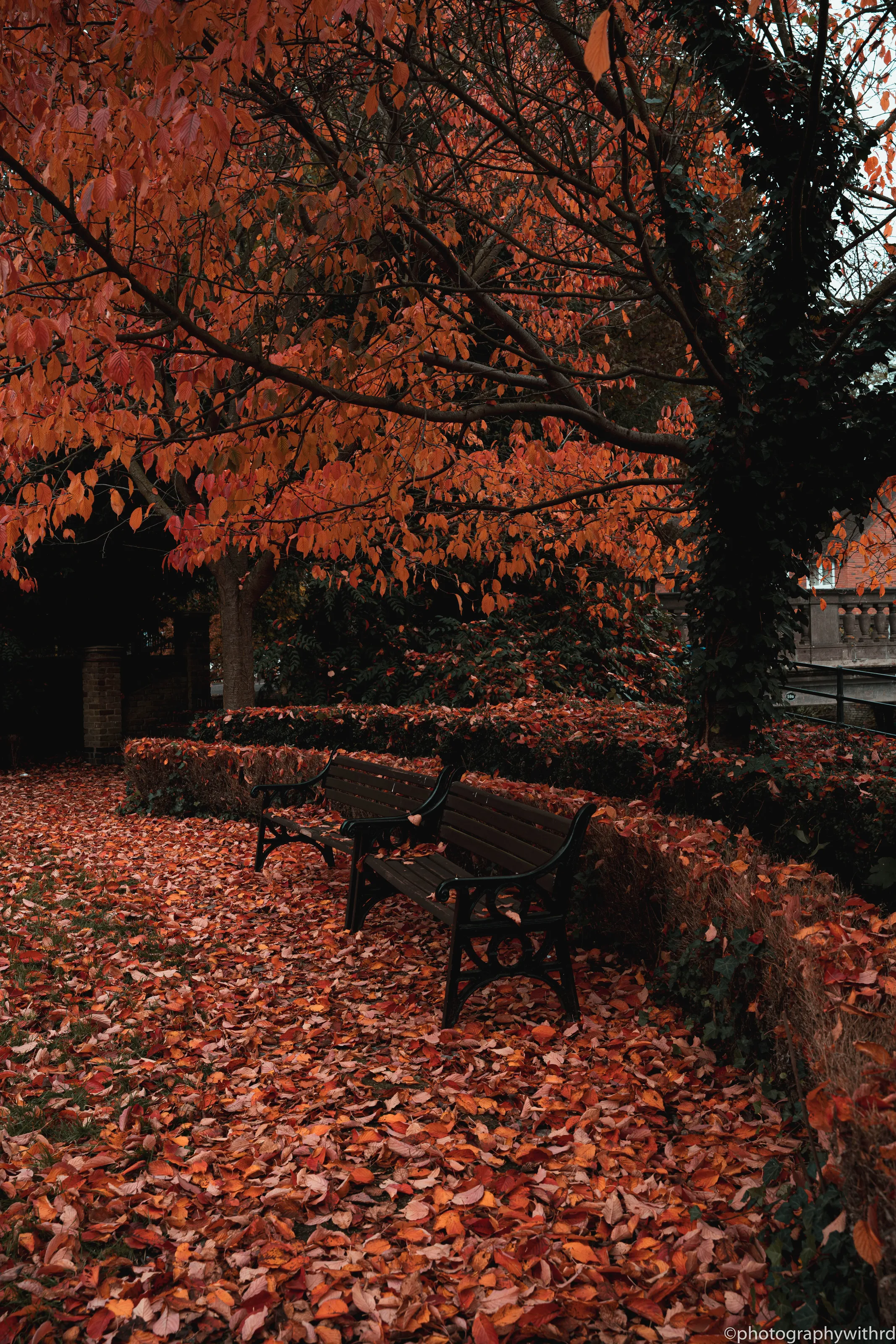 Fancy a seat?