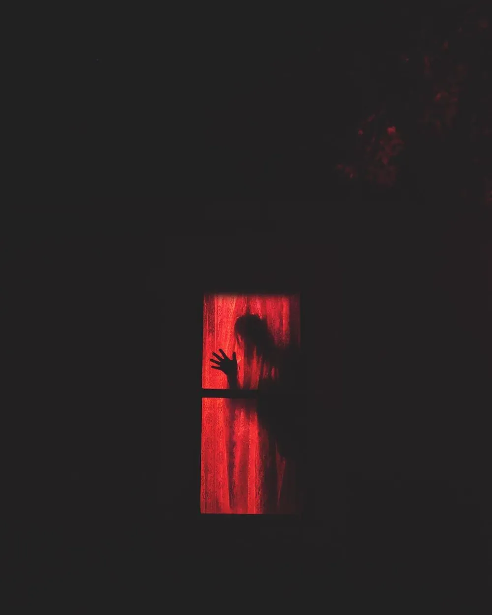 Entry 7785652