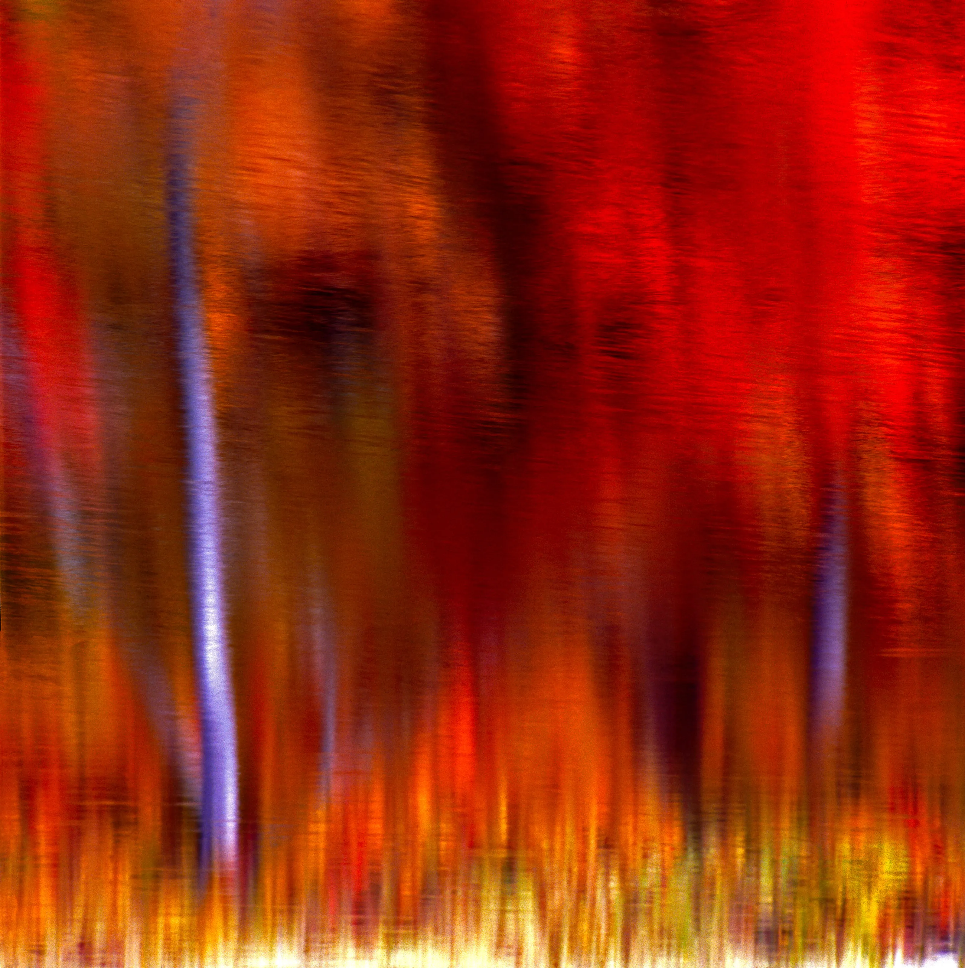 Nature's Abstract 1