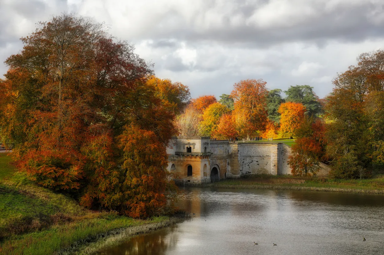 Entry 7971513