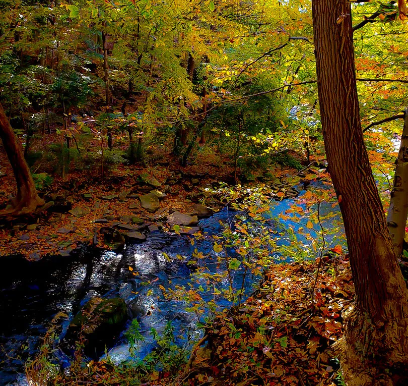 Fall in Ohio