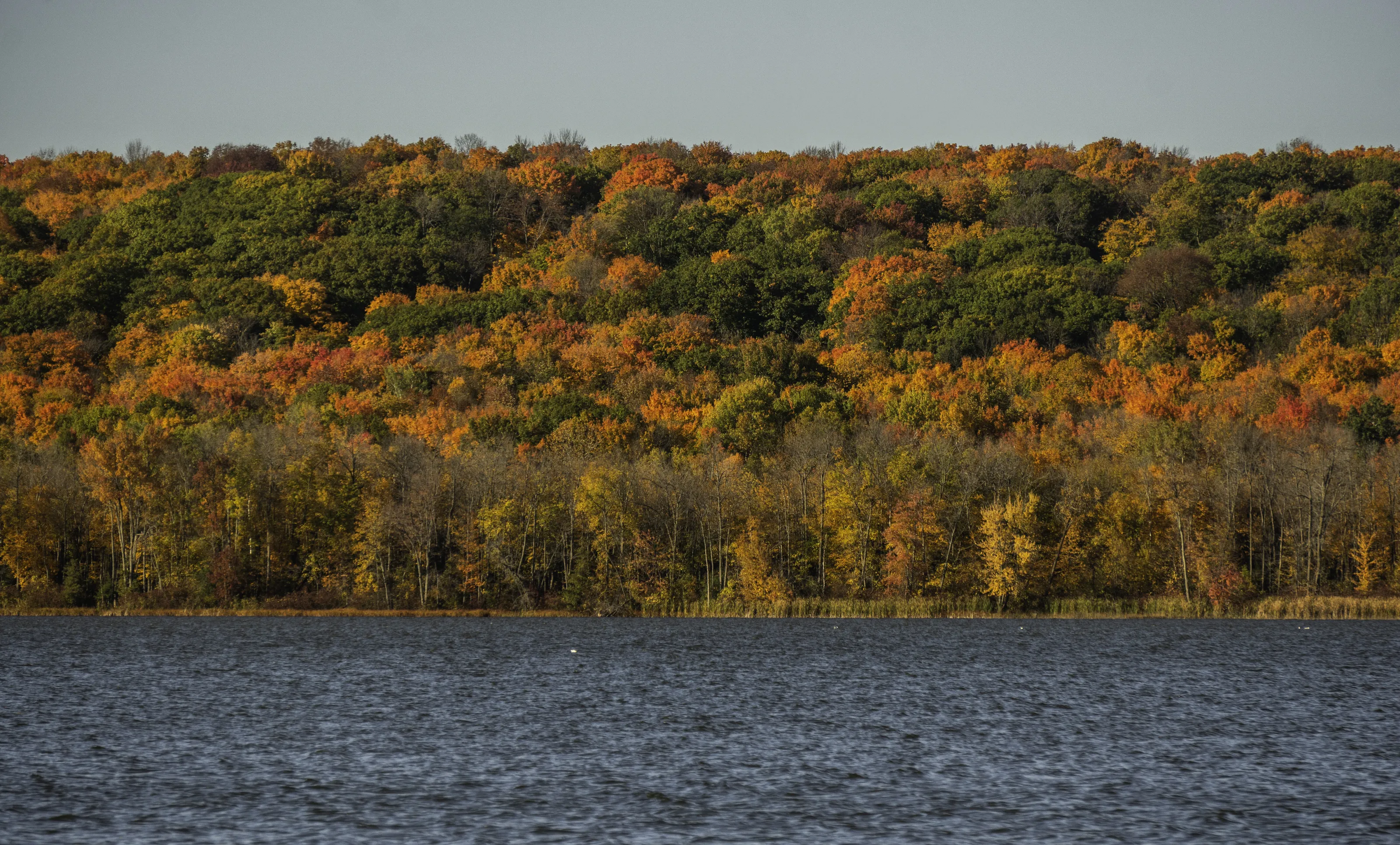 Fall colors