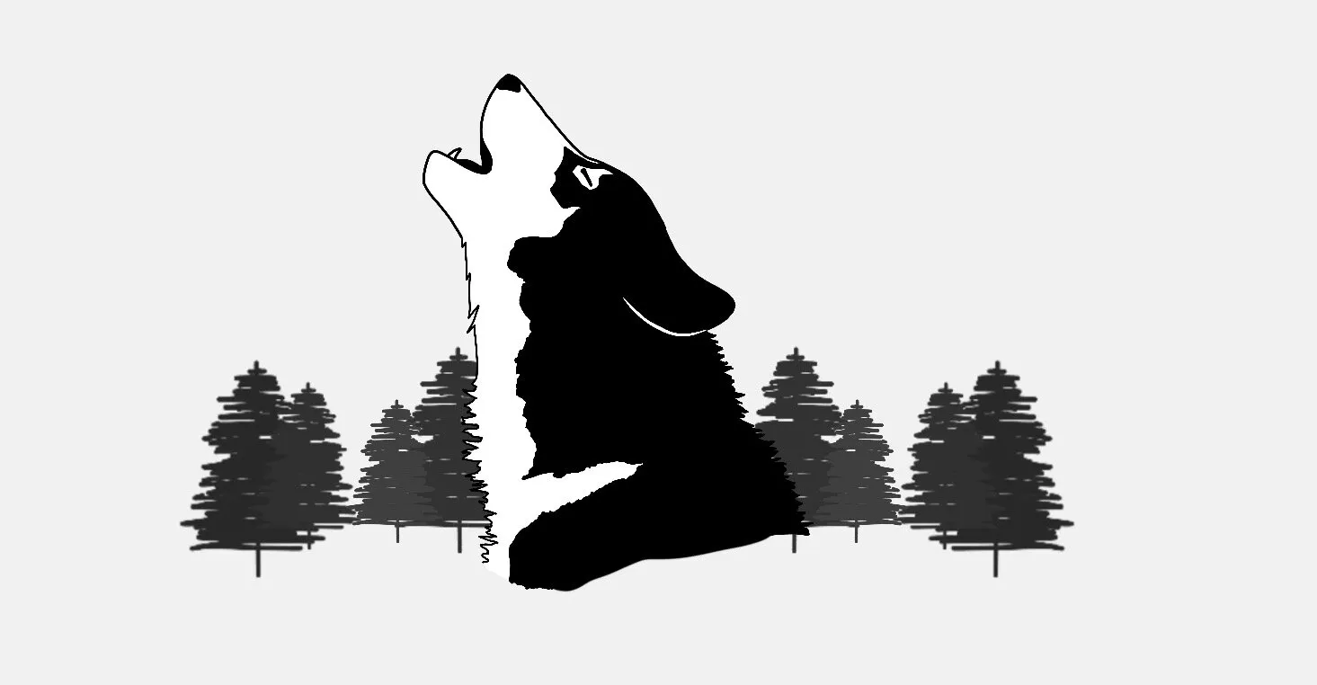 Banner image