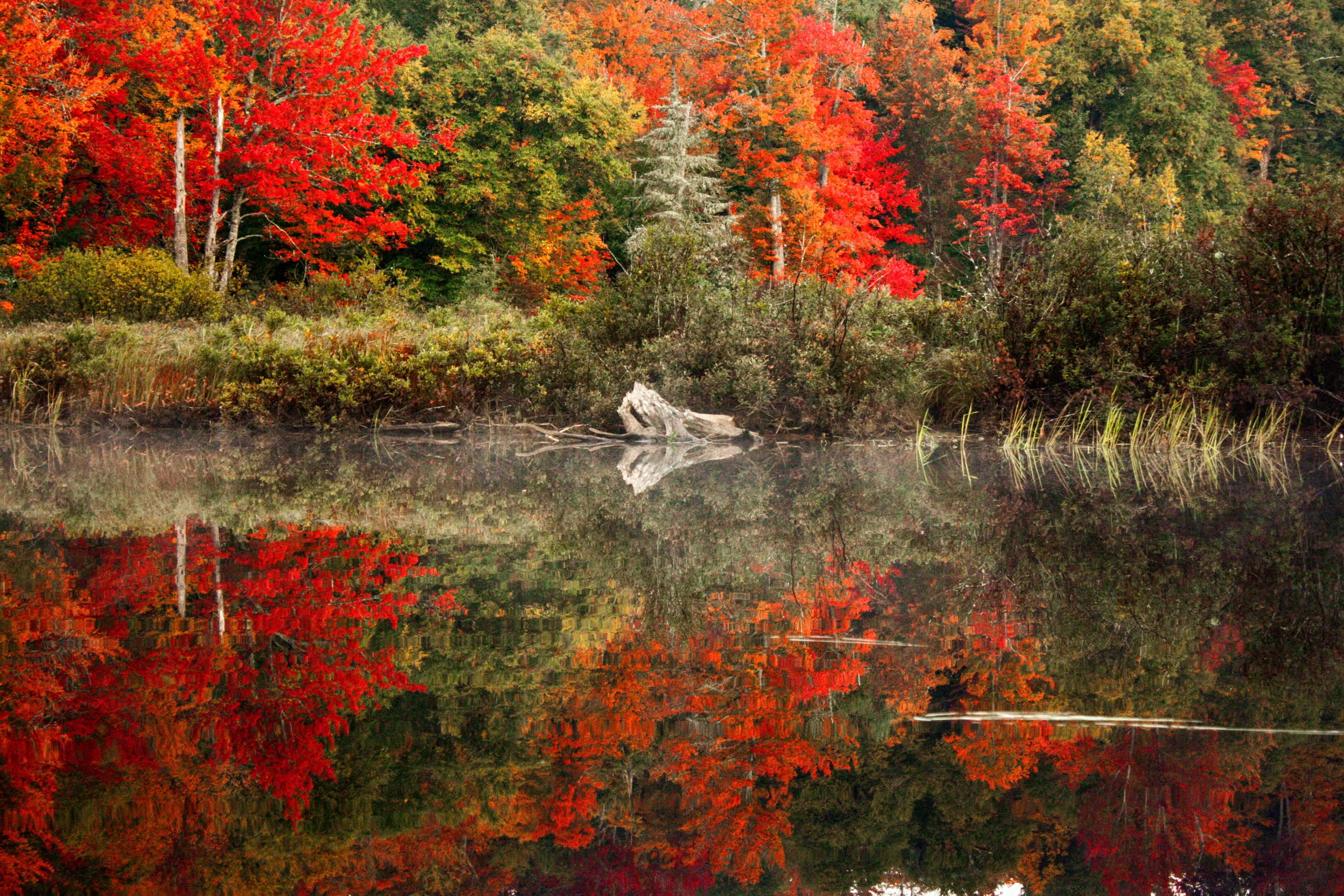 Autumn's beauty