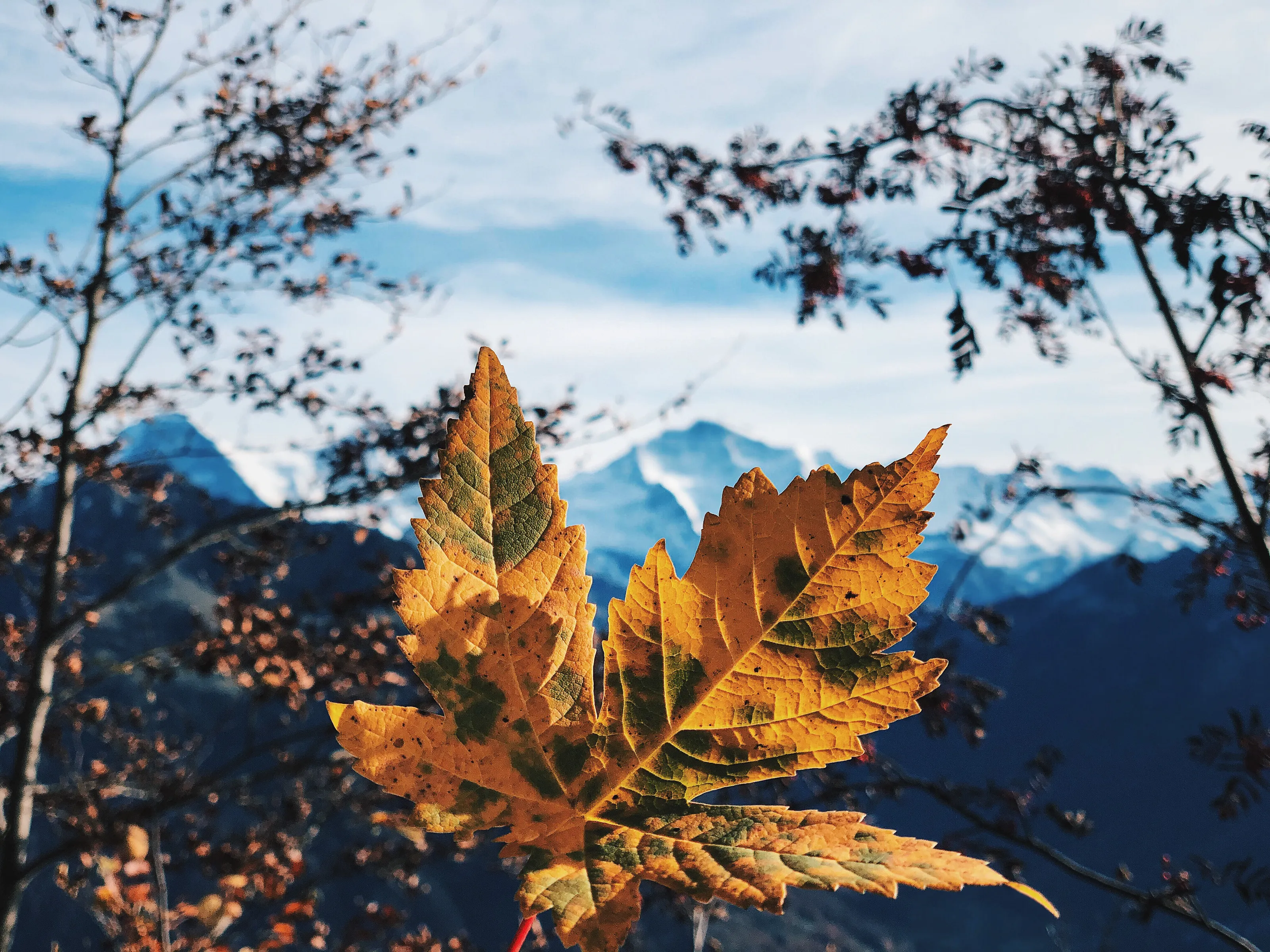 The signature of Autumn