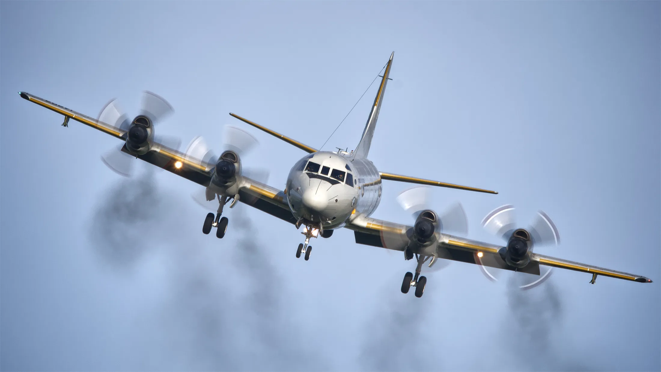 Entry 8881663