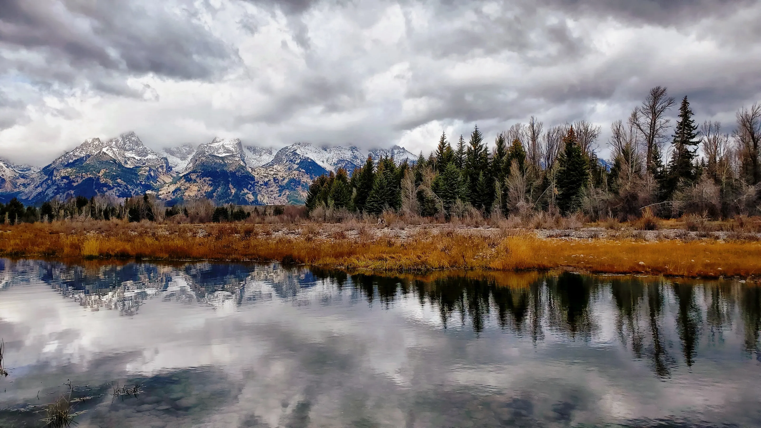 Reflections