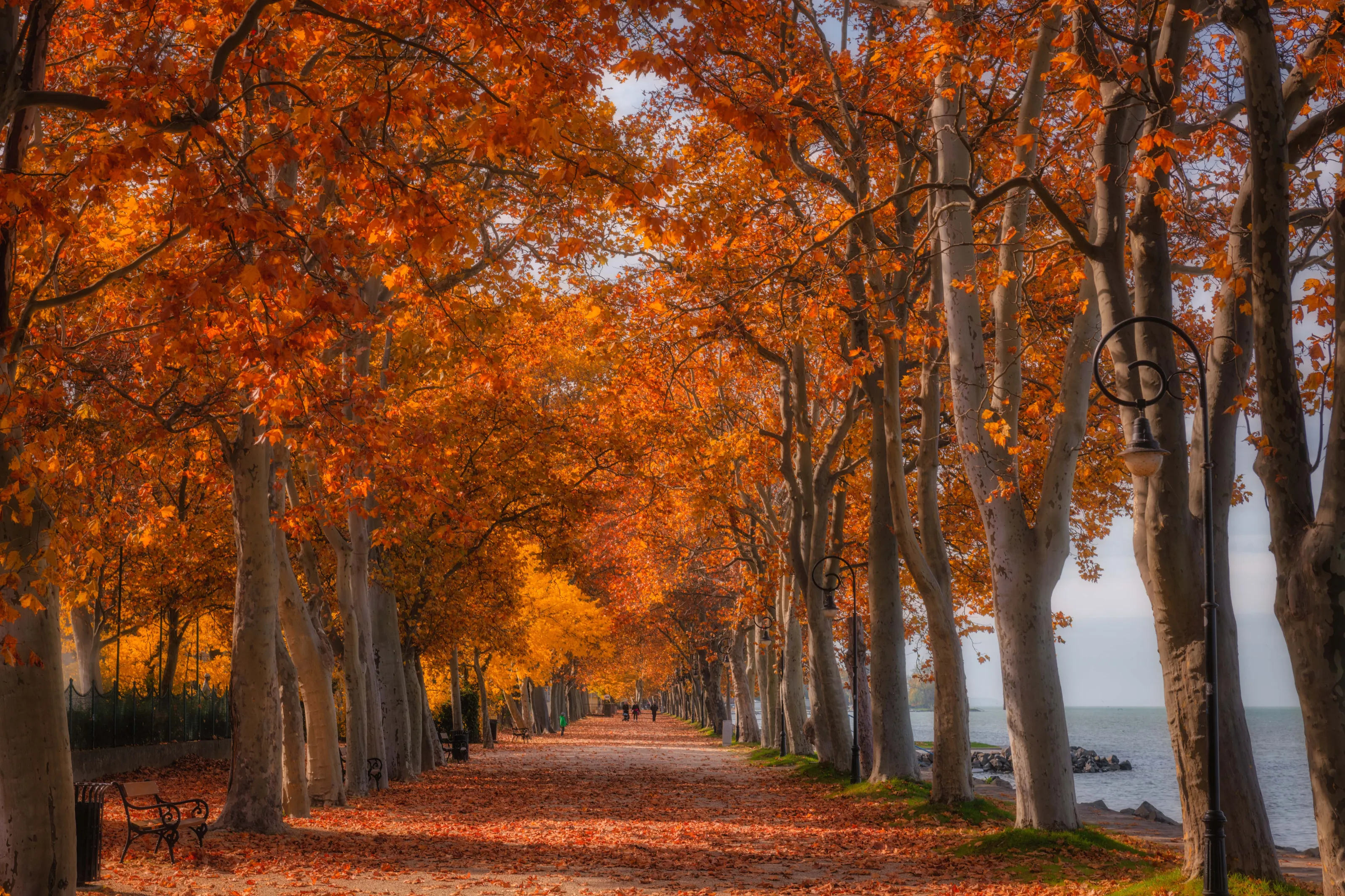 Kvassay promenade
