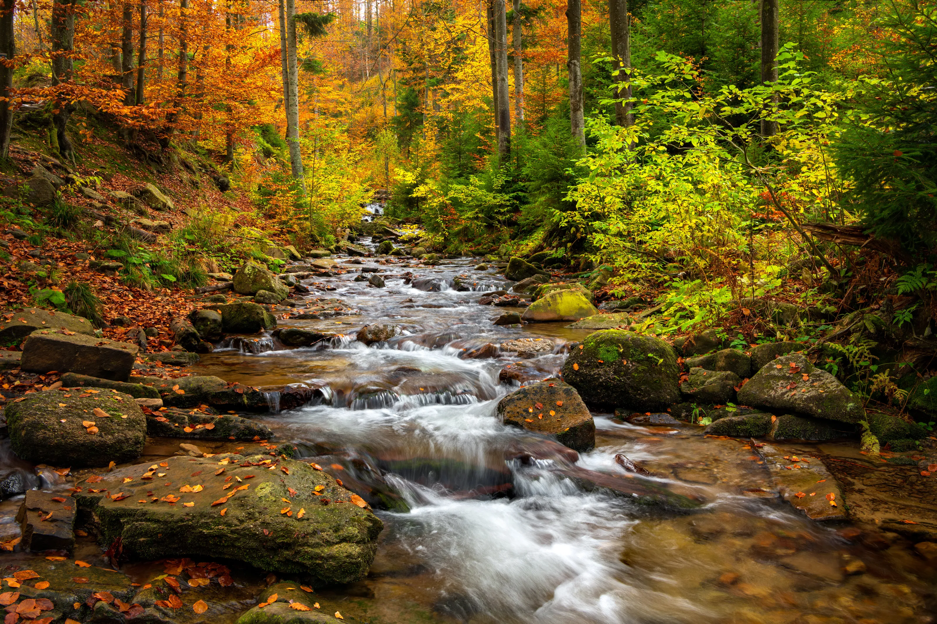 Autumn in Beskids