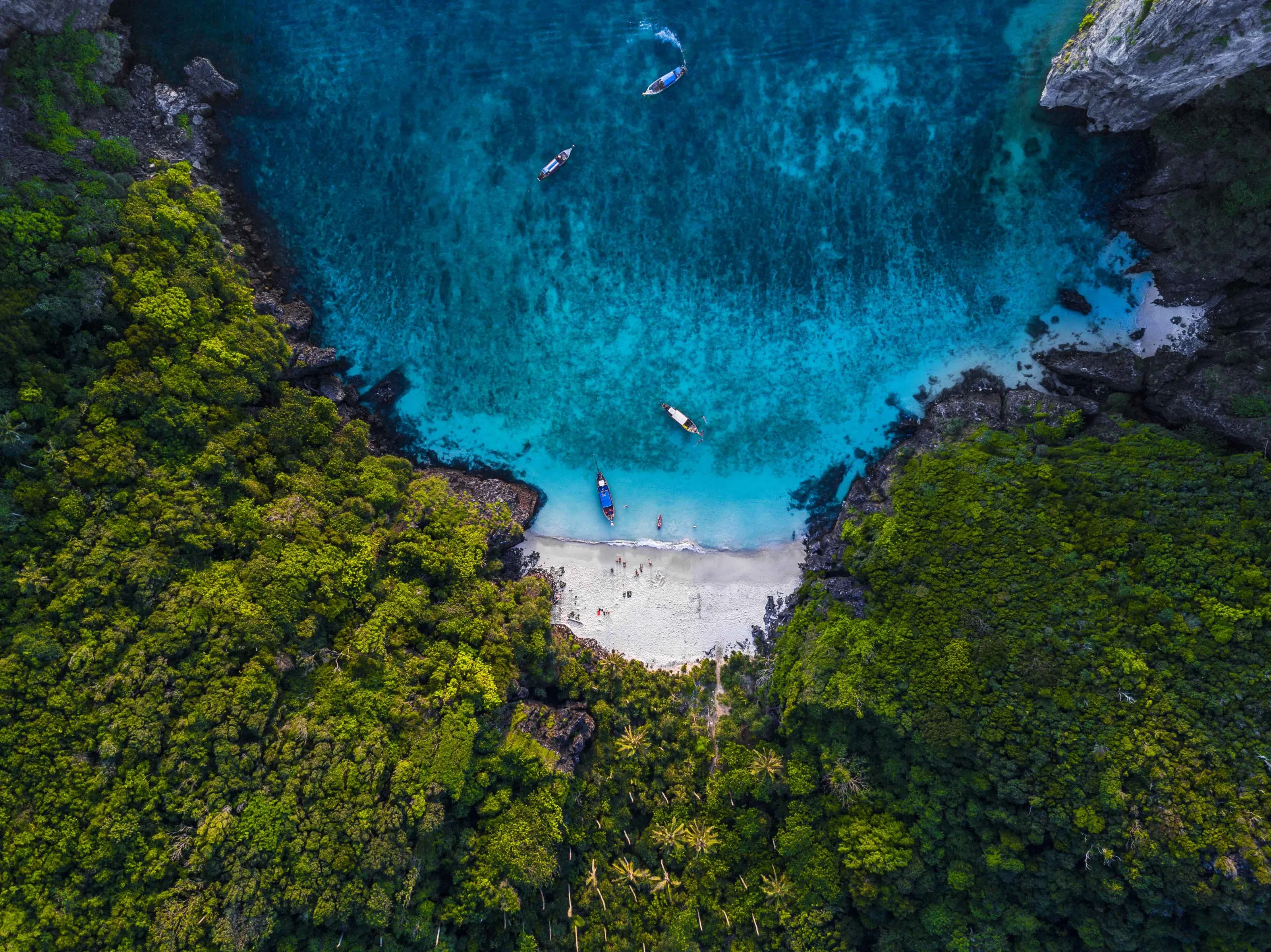 Jungle Beach