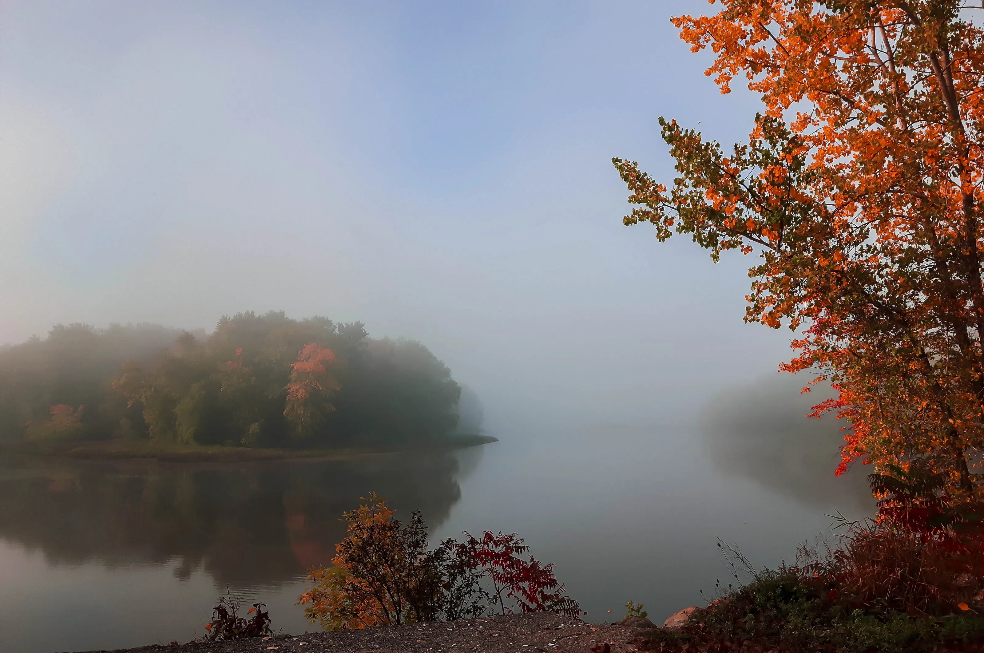Early morning at the river's edge