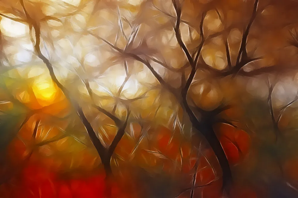 Artistic autumn
