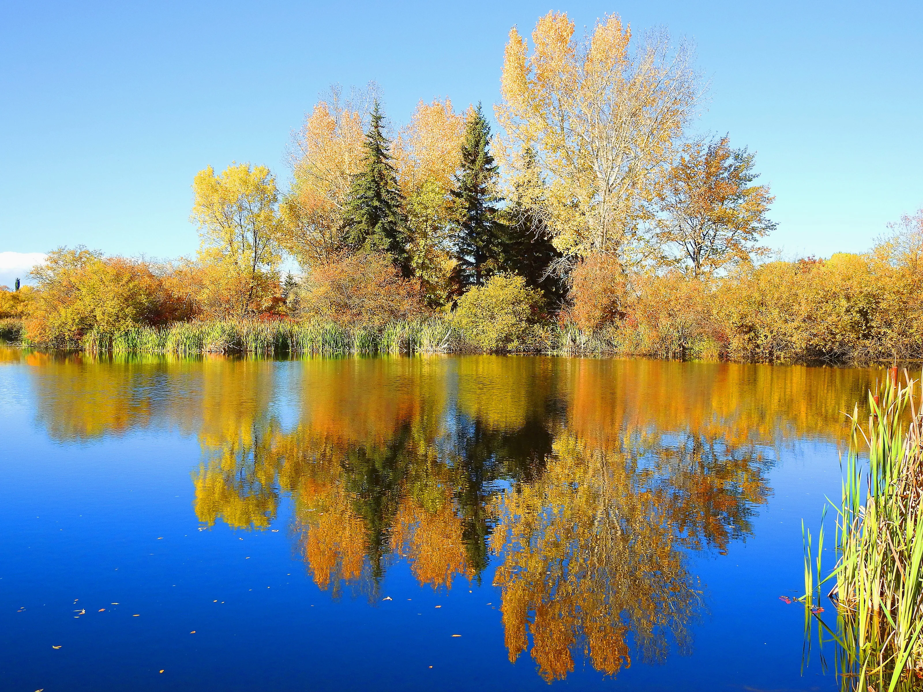 Fall Reflections