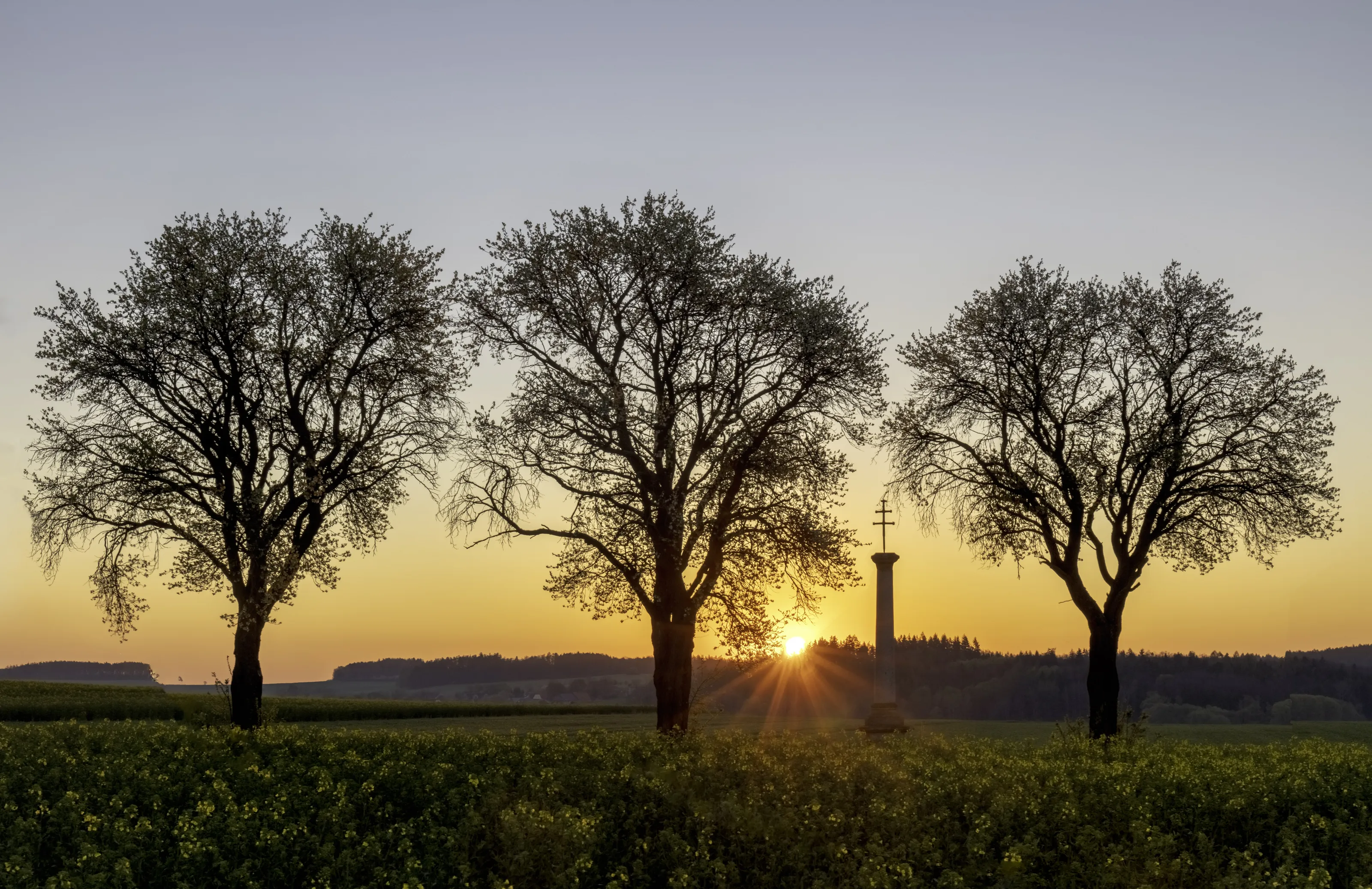 Golden sunrise