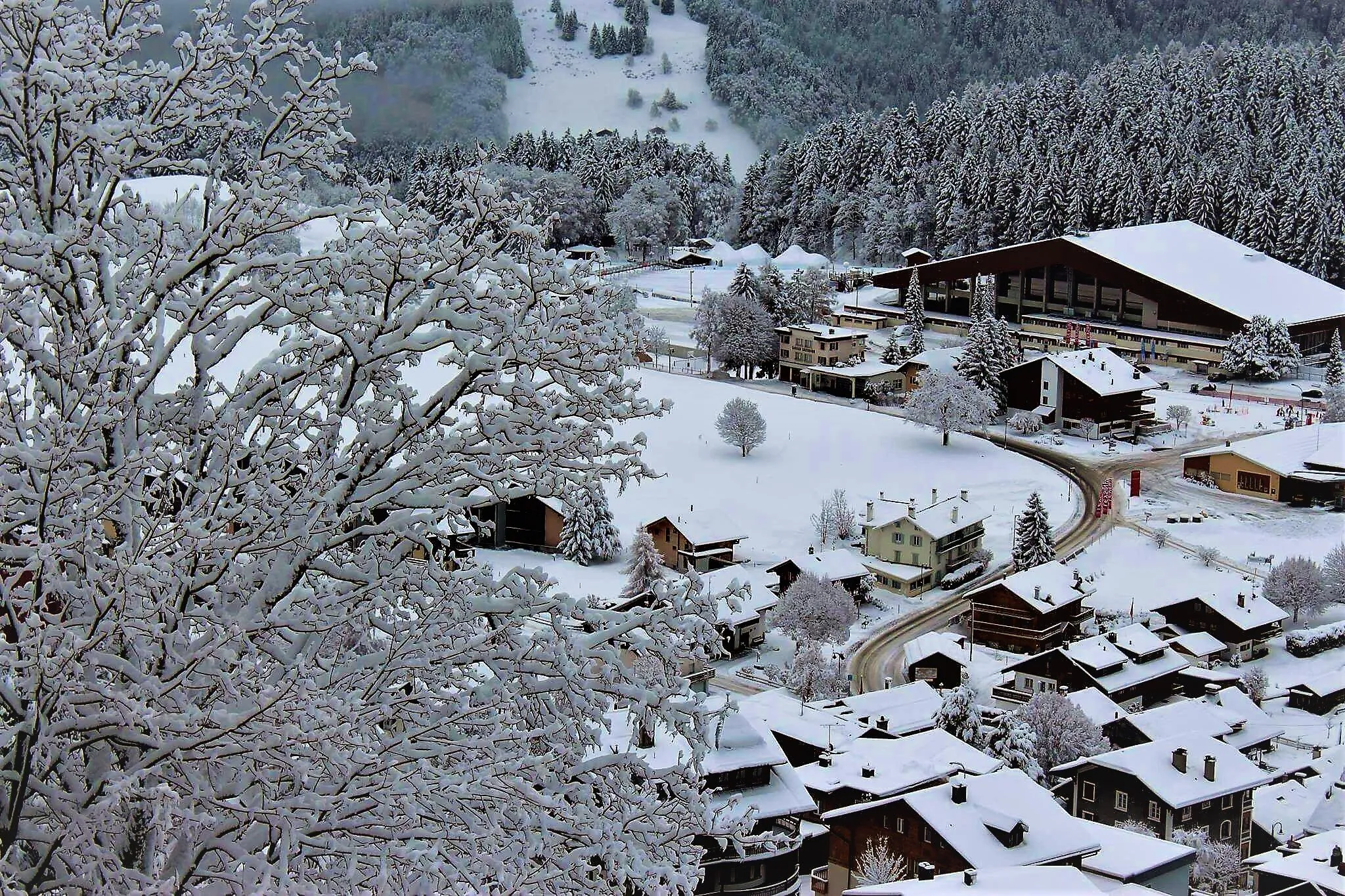 Winter Wonderland
