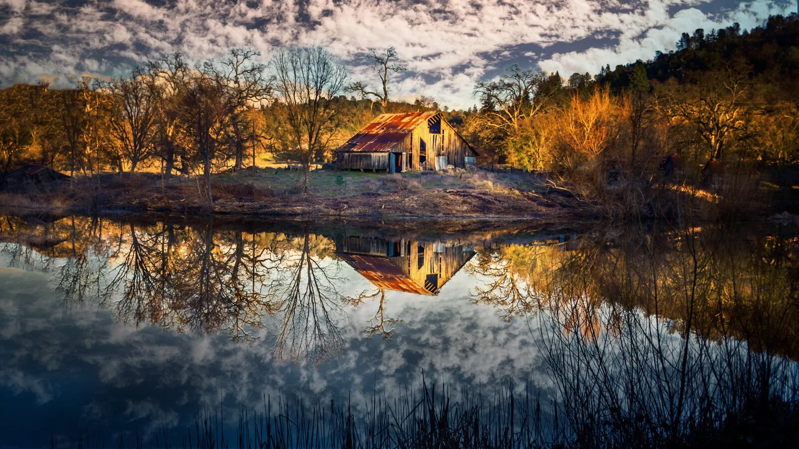 Entry 7857305