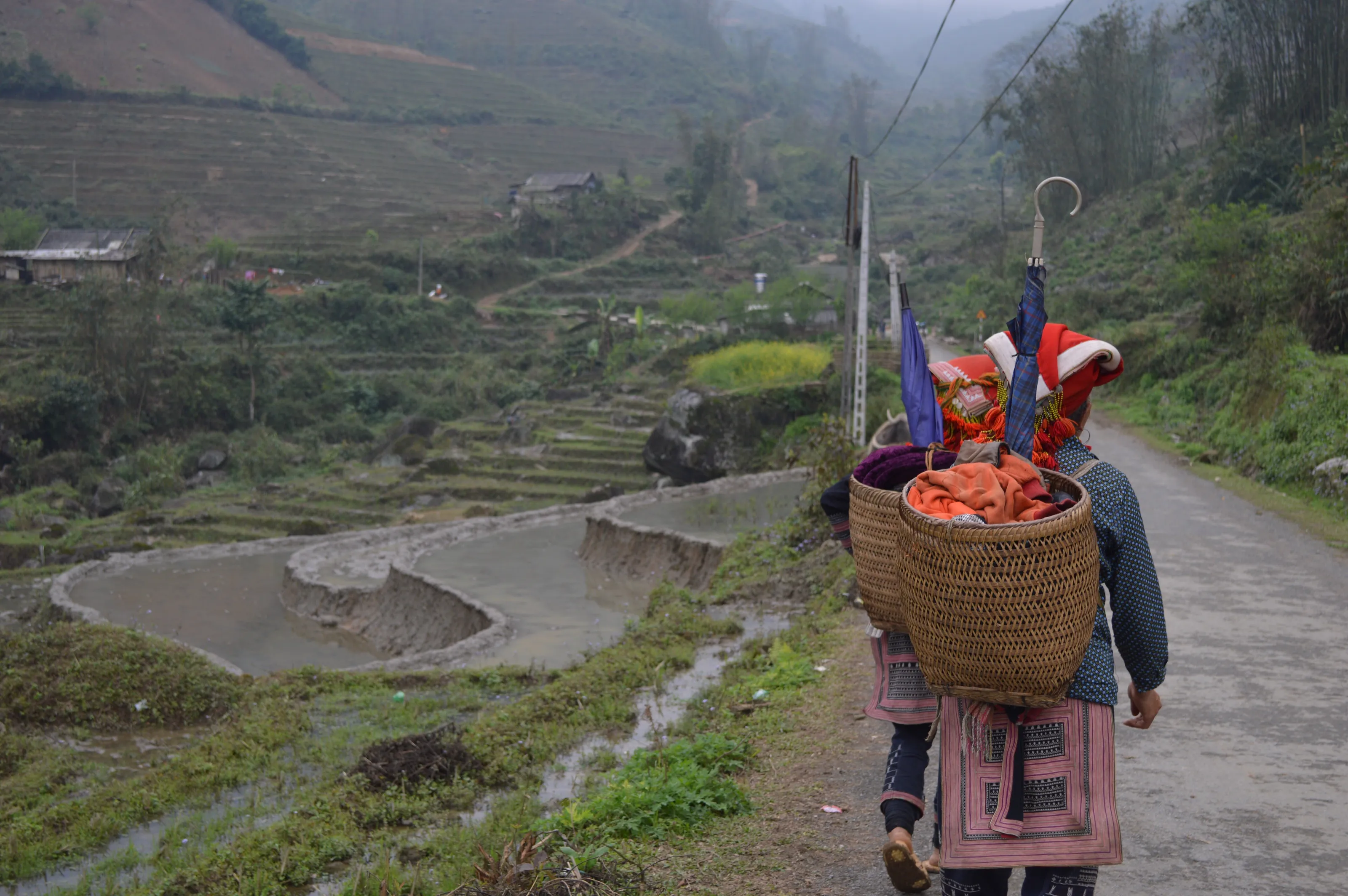 Red Dao Tribe