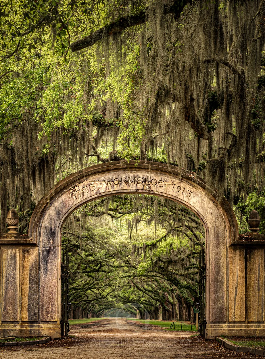 Entry 15042341