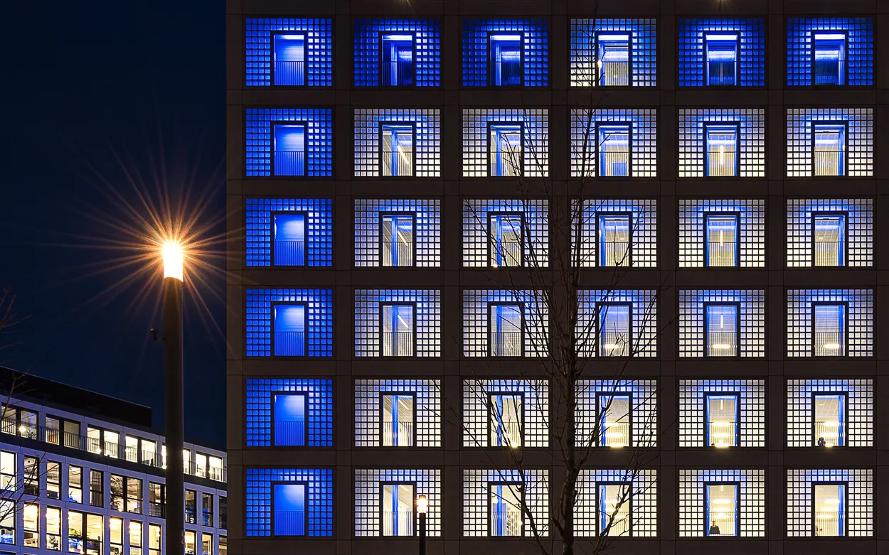 Entry 8629538