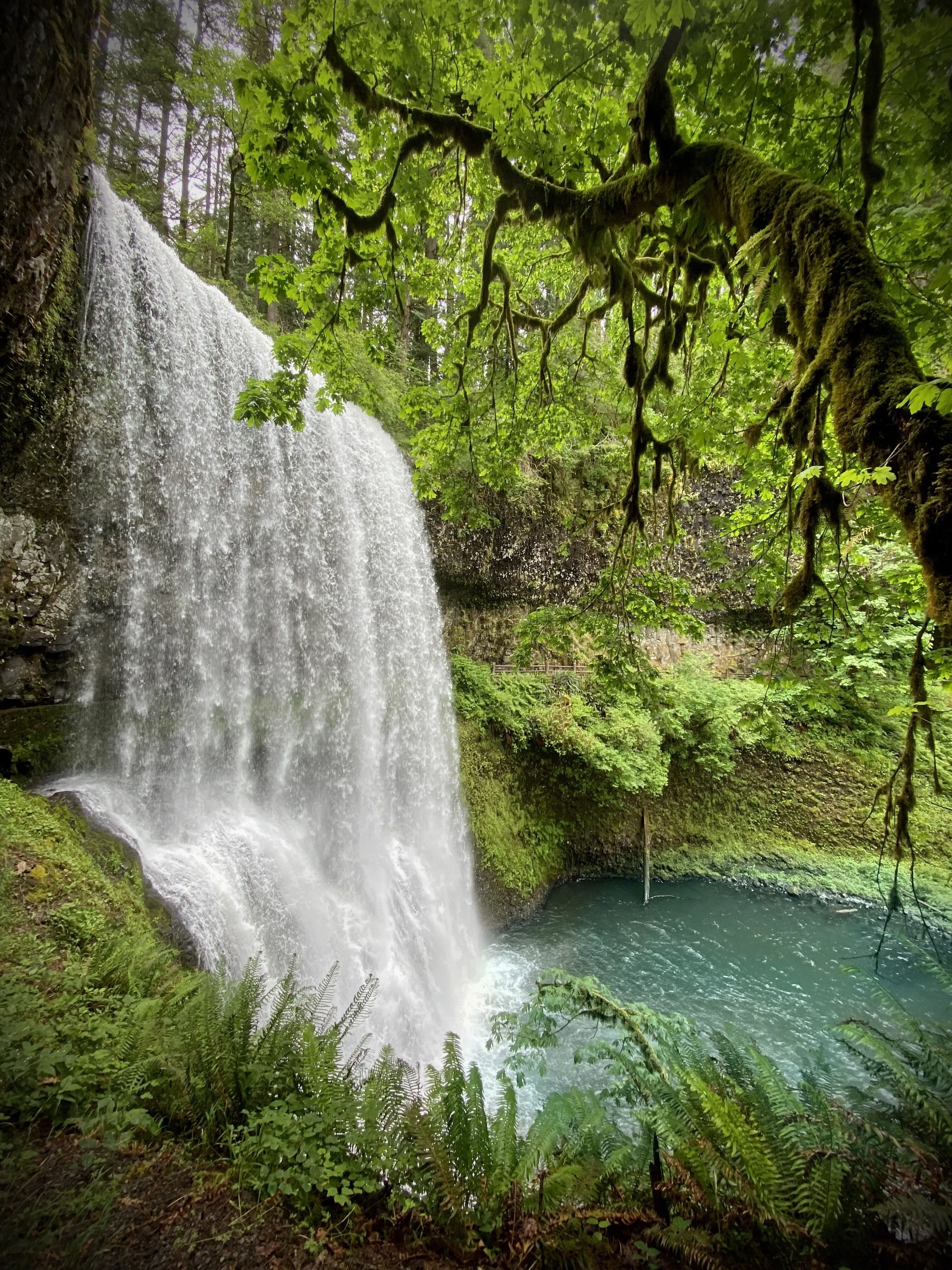 Oregon Falls