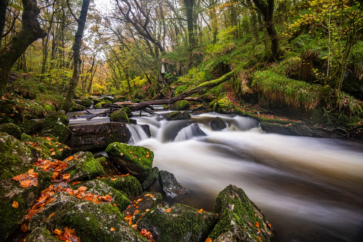 Entry 7881126