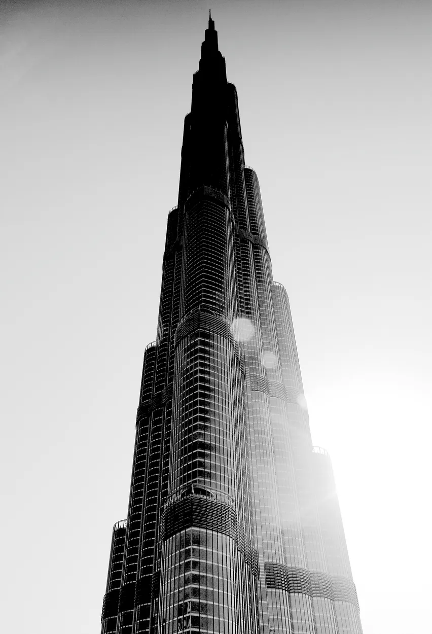 Entry 17306421